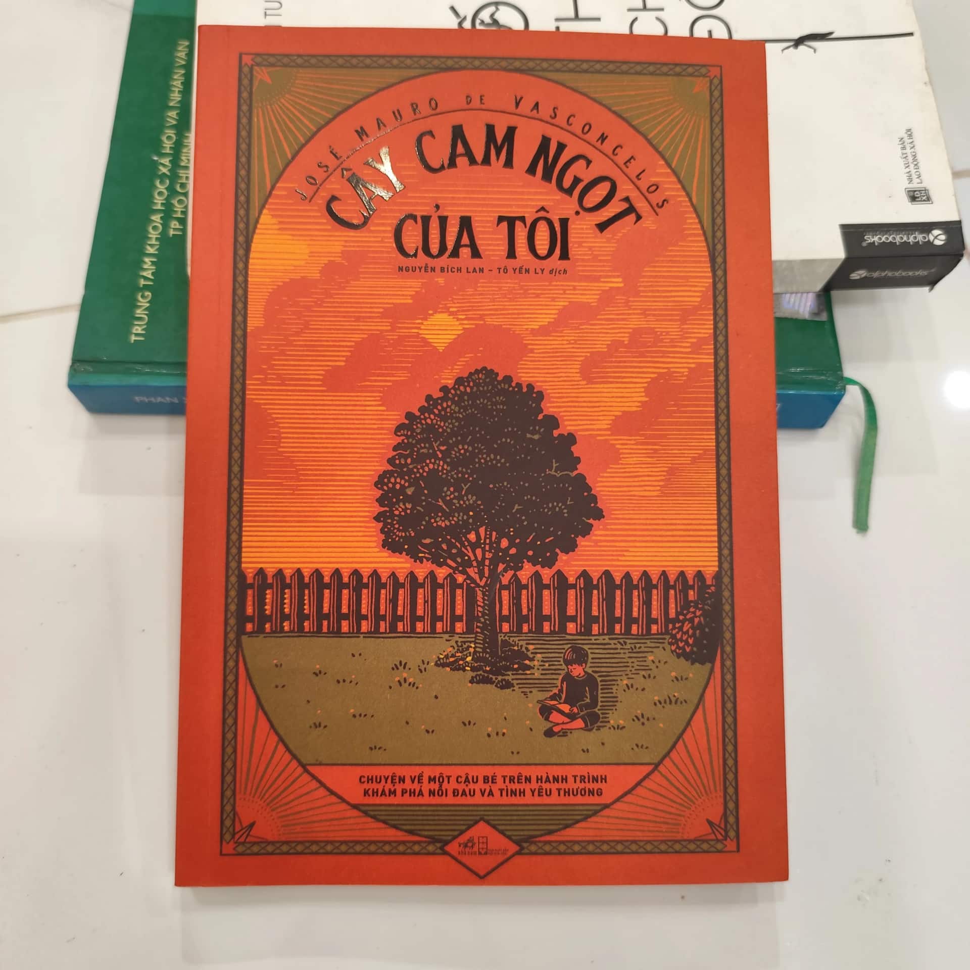 Cây cam ngọt của tôi
