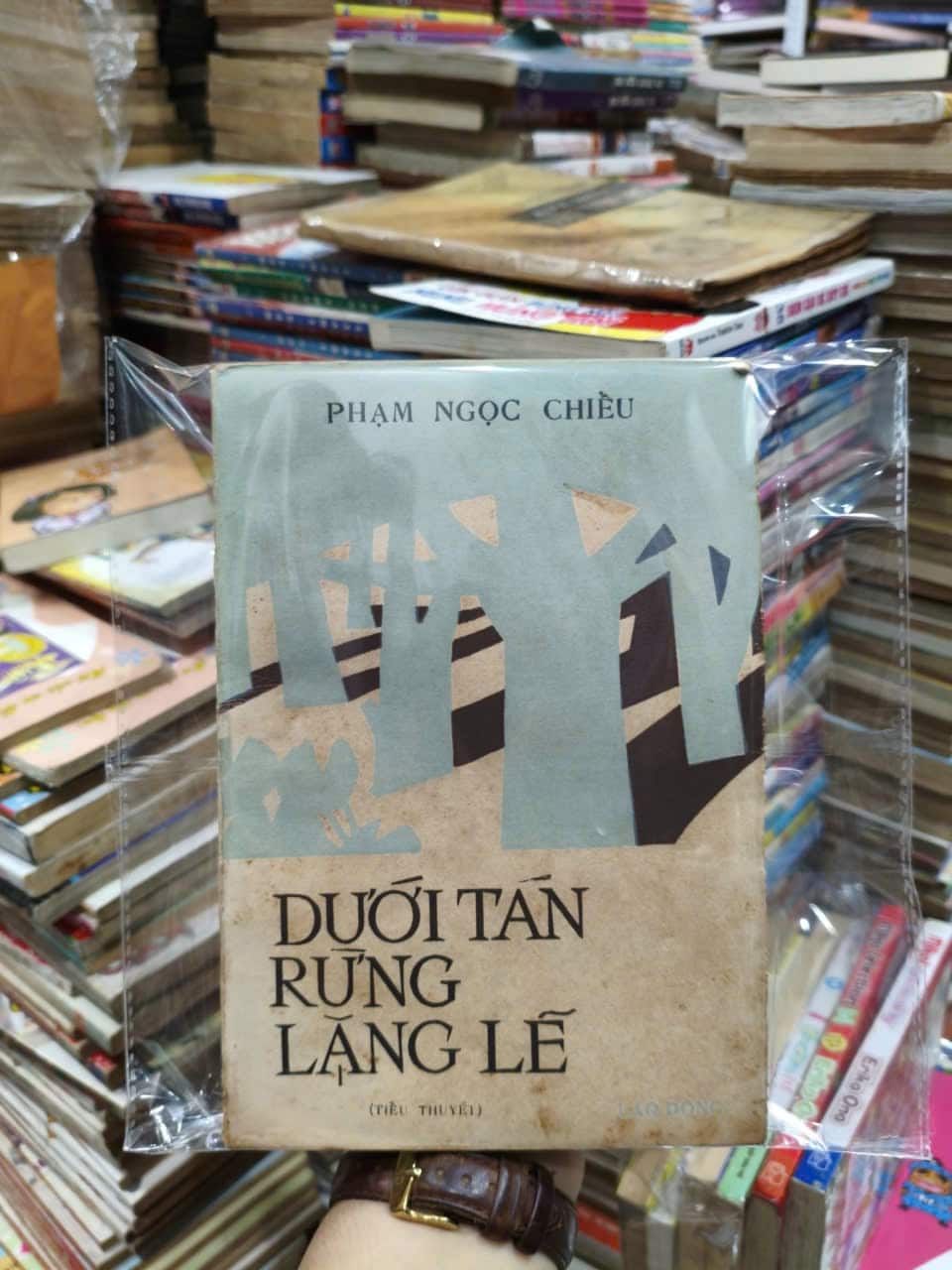 Dưới Tán Rừng Lặng Lẽ