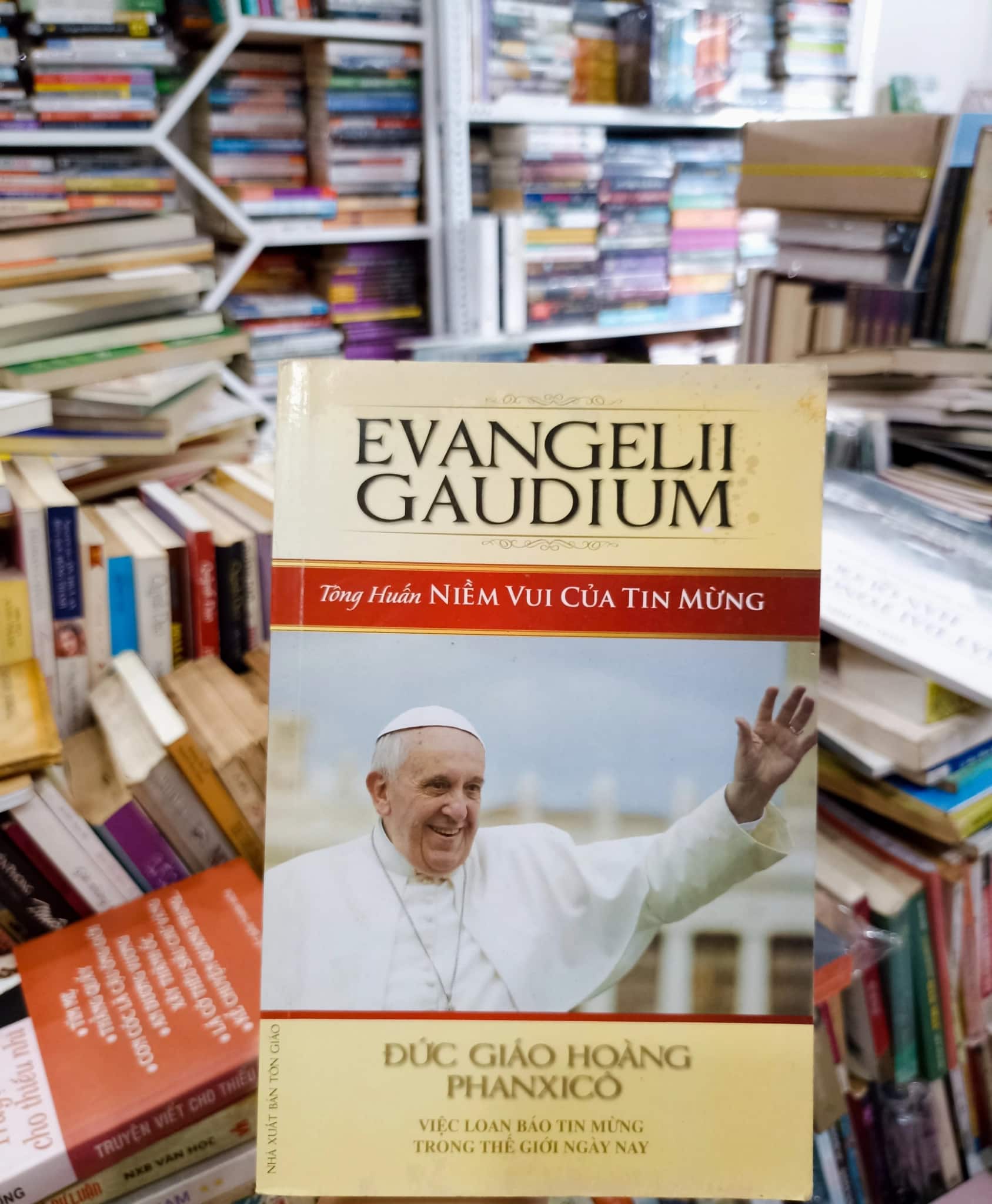 Tông Huấn - ĐGH Phanxicô 