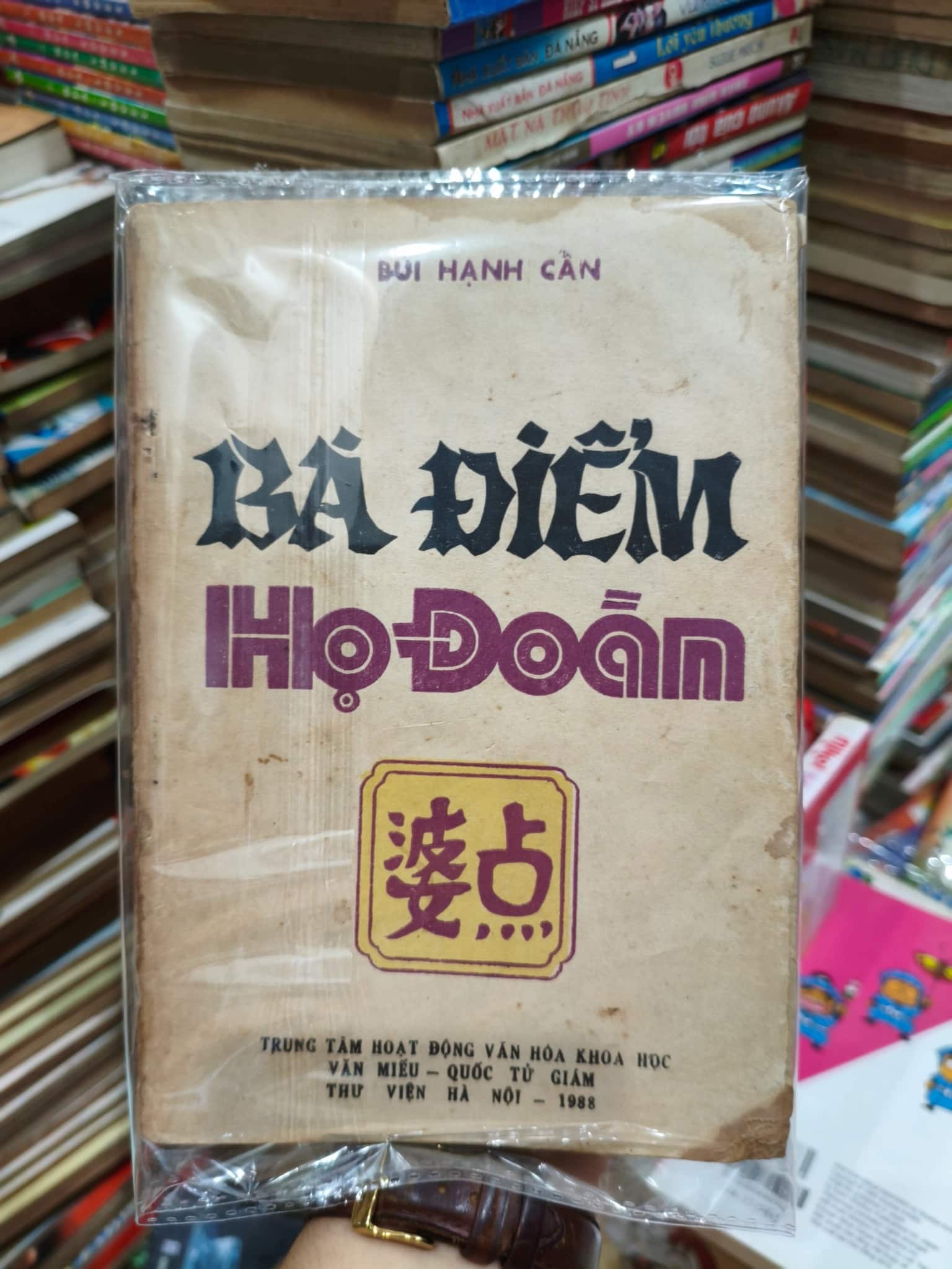 Bà Điểm họ Đoàn