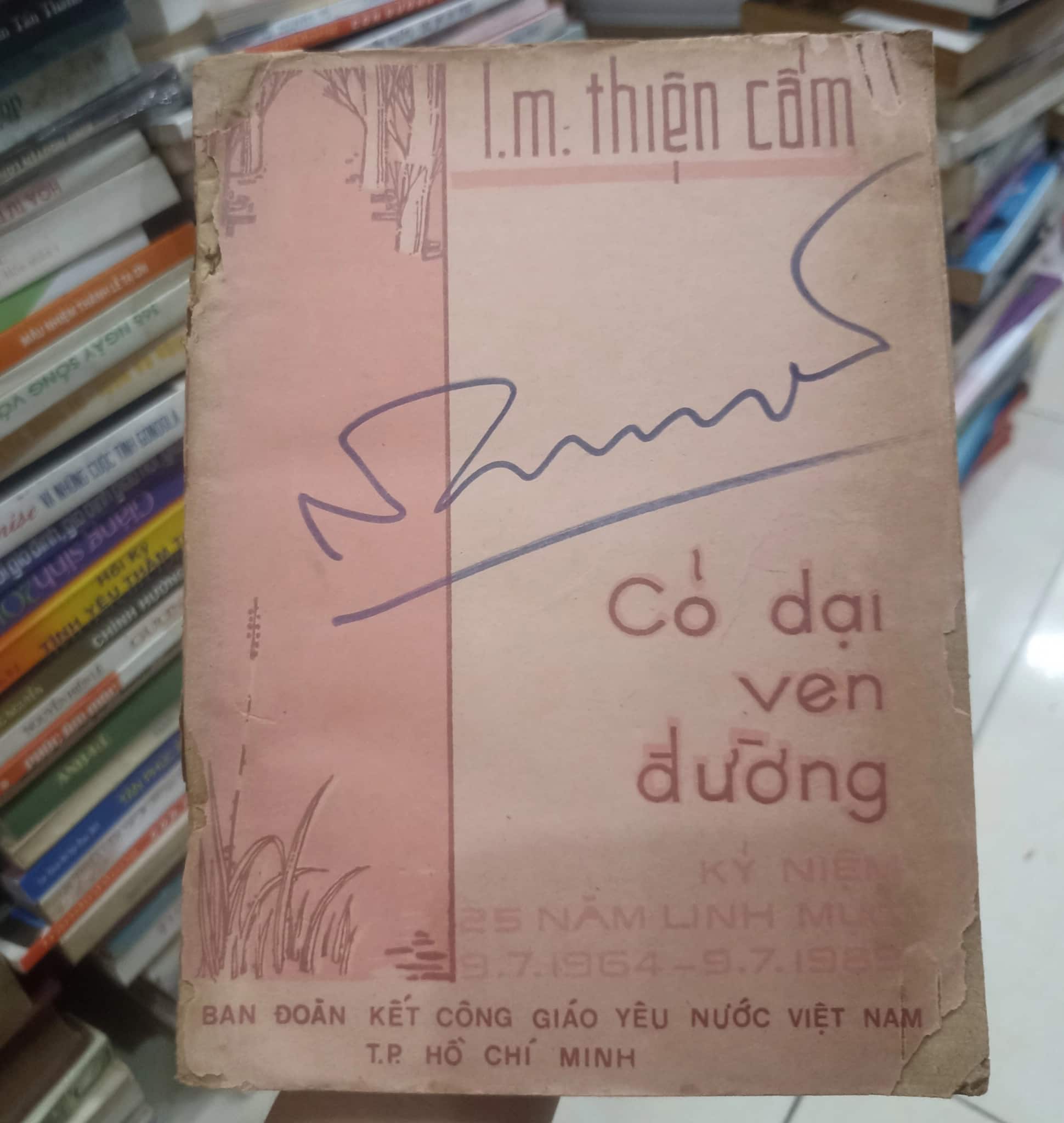 Cỏ dại ven đường 