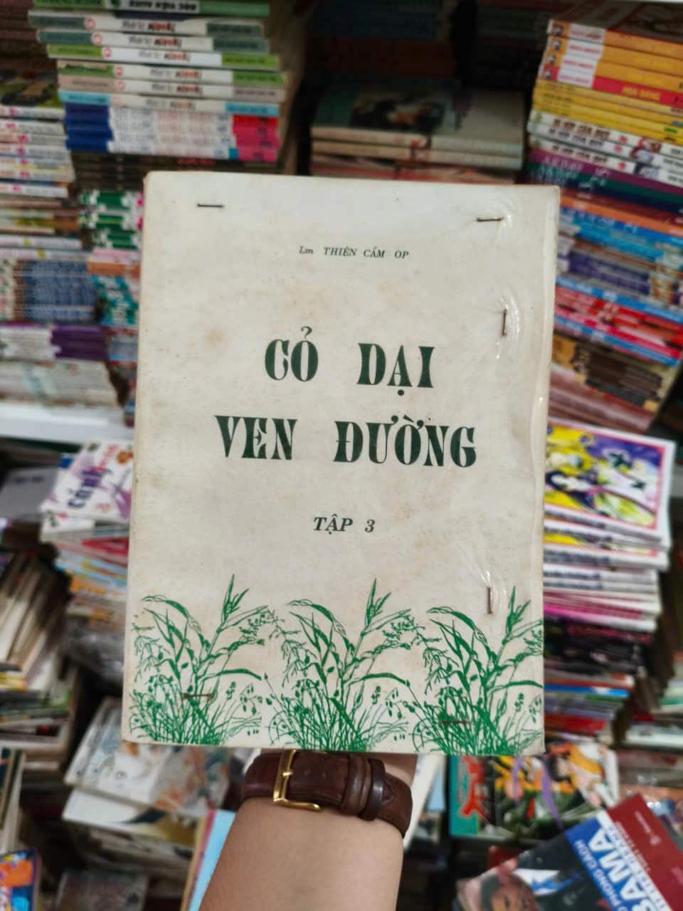 CỎ DẠI VEN ĐƯỜNG -TẬP 3