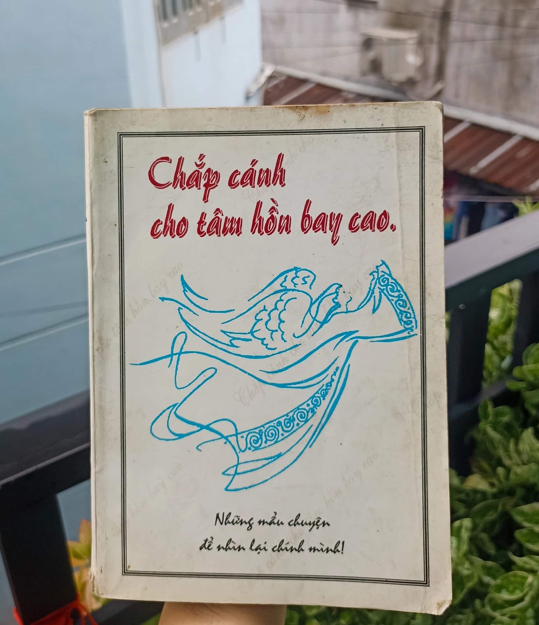 Chắp cánh cho tâm hồn bay cao
