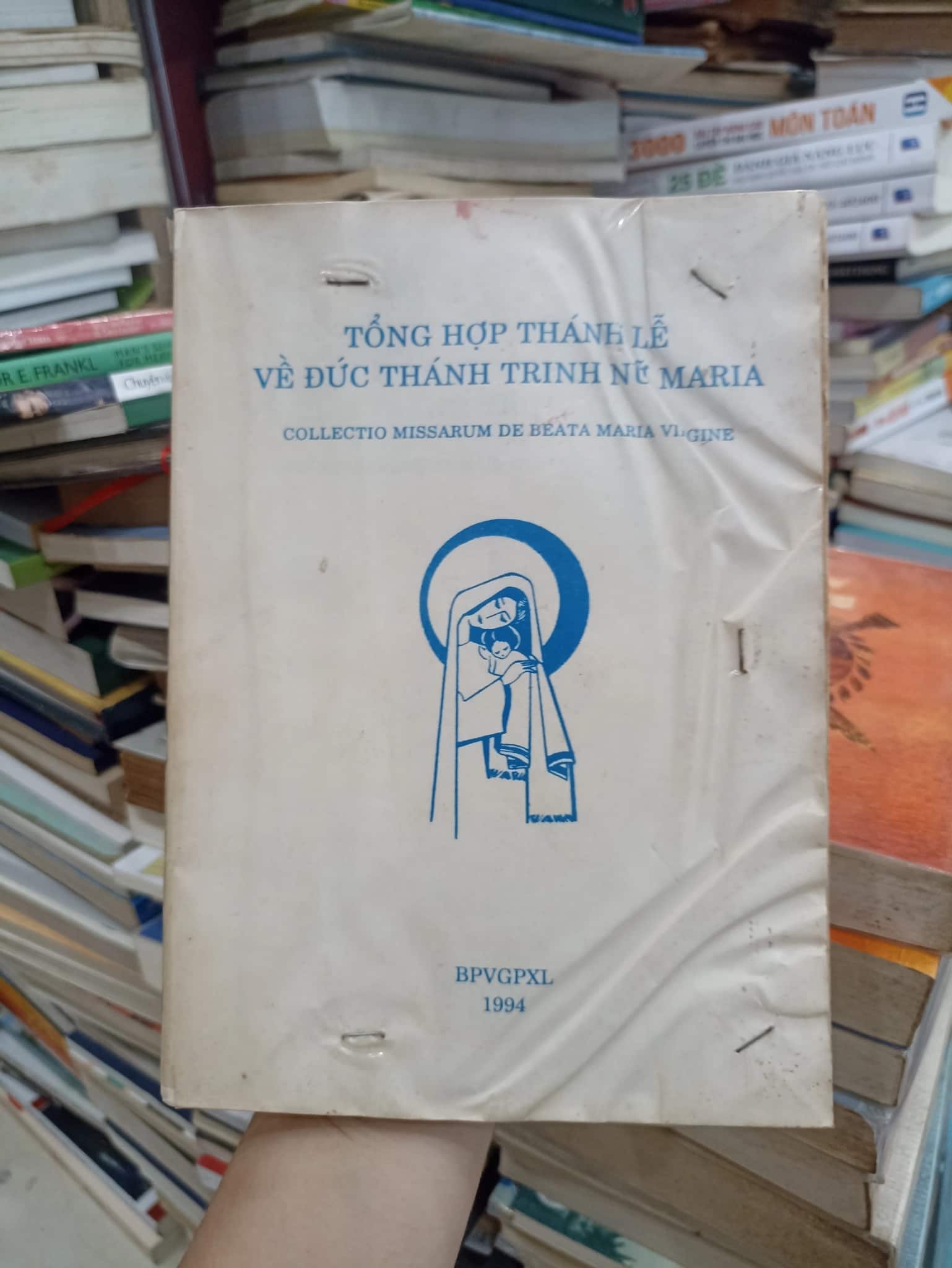 Tổng Hợp Thánh Lễ Về Đức Thánh Trinh Nữ Maria