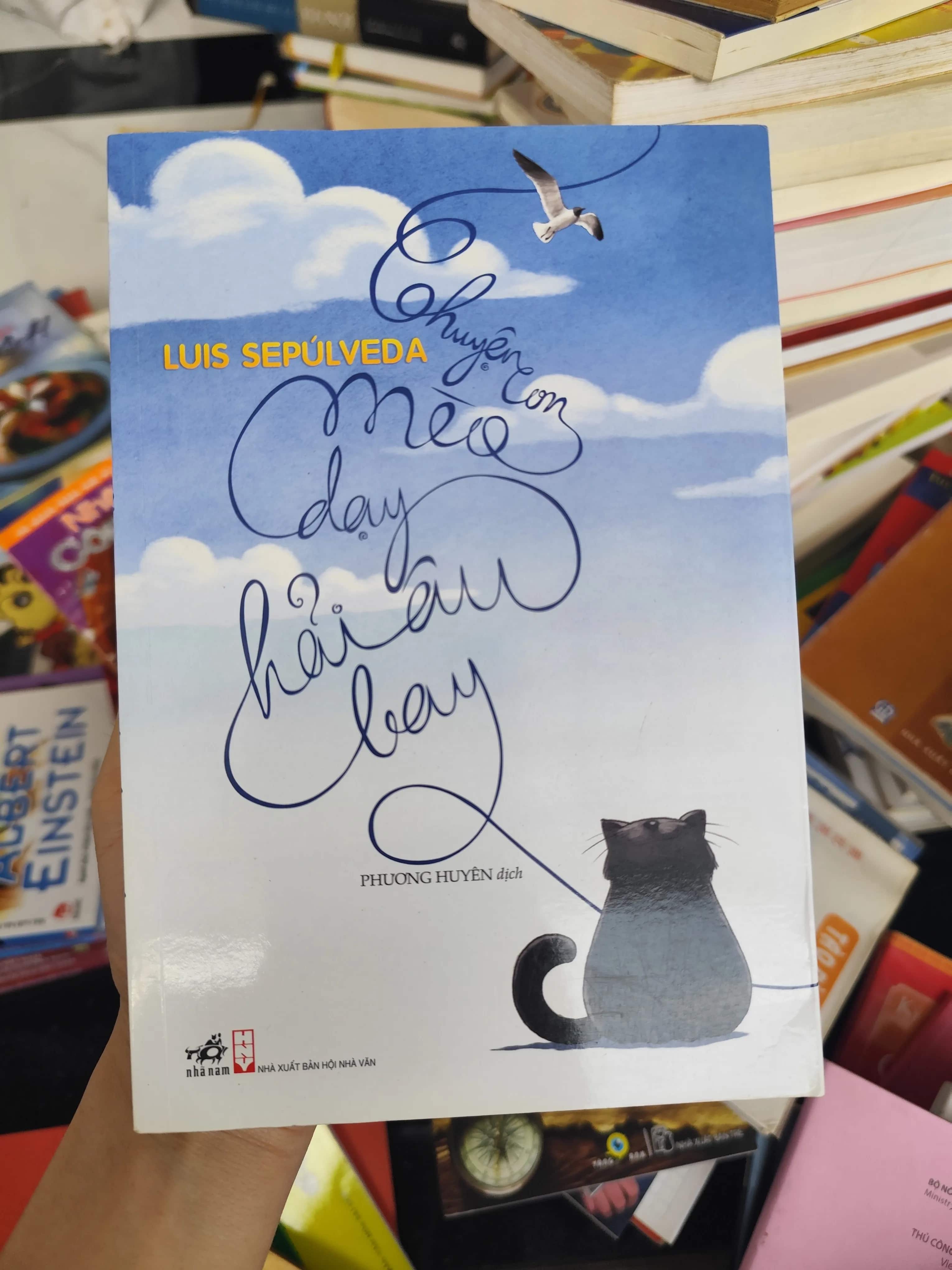 Chuyện con mèo dạy hải âu bay