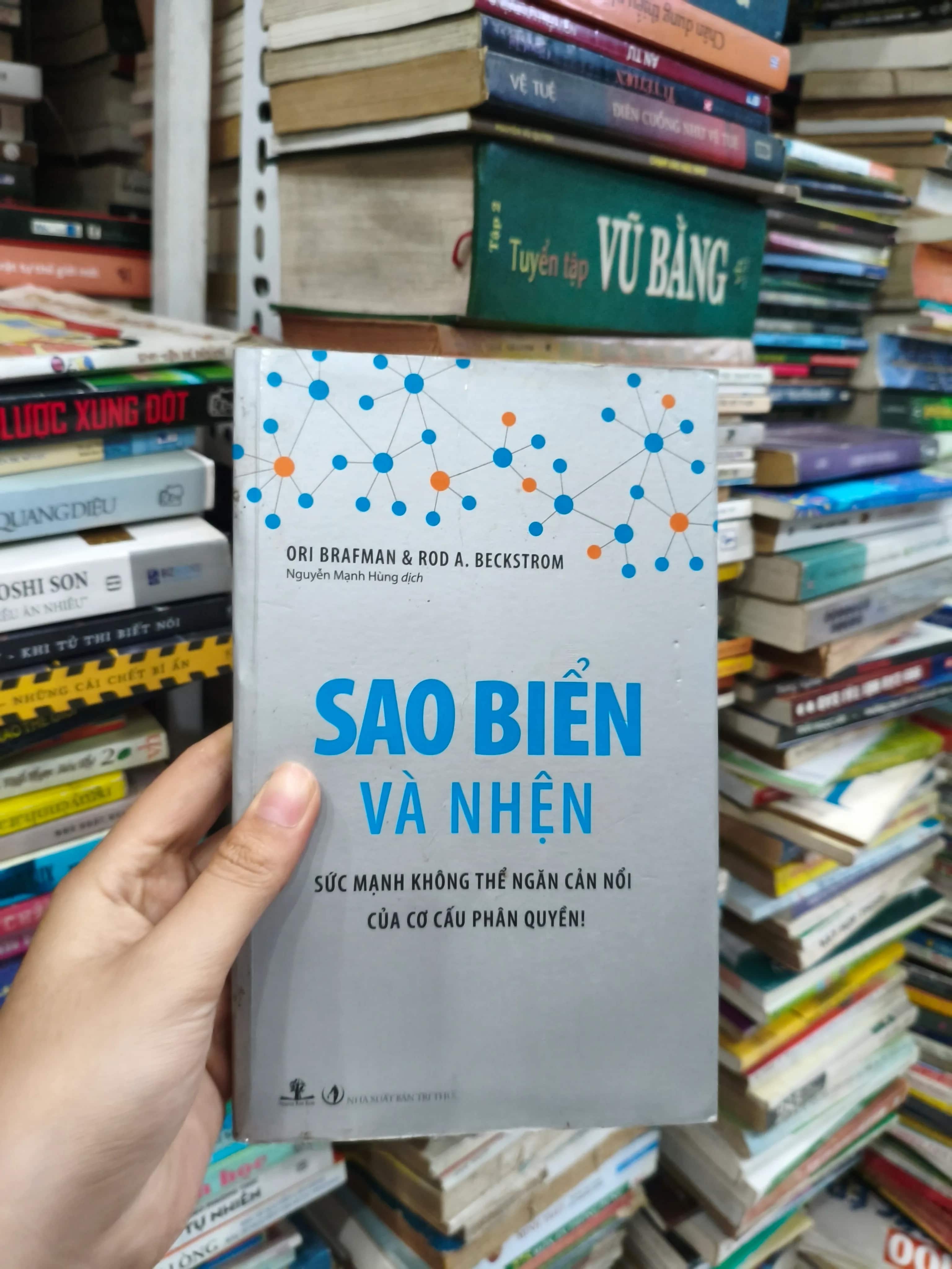 Sao Biển Và Nhện 