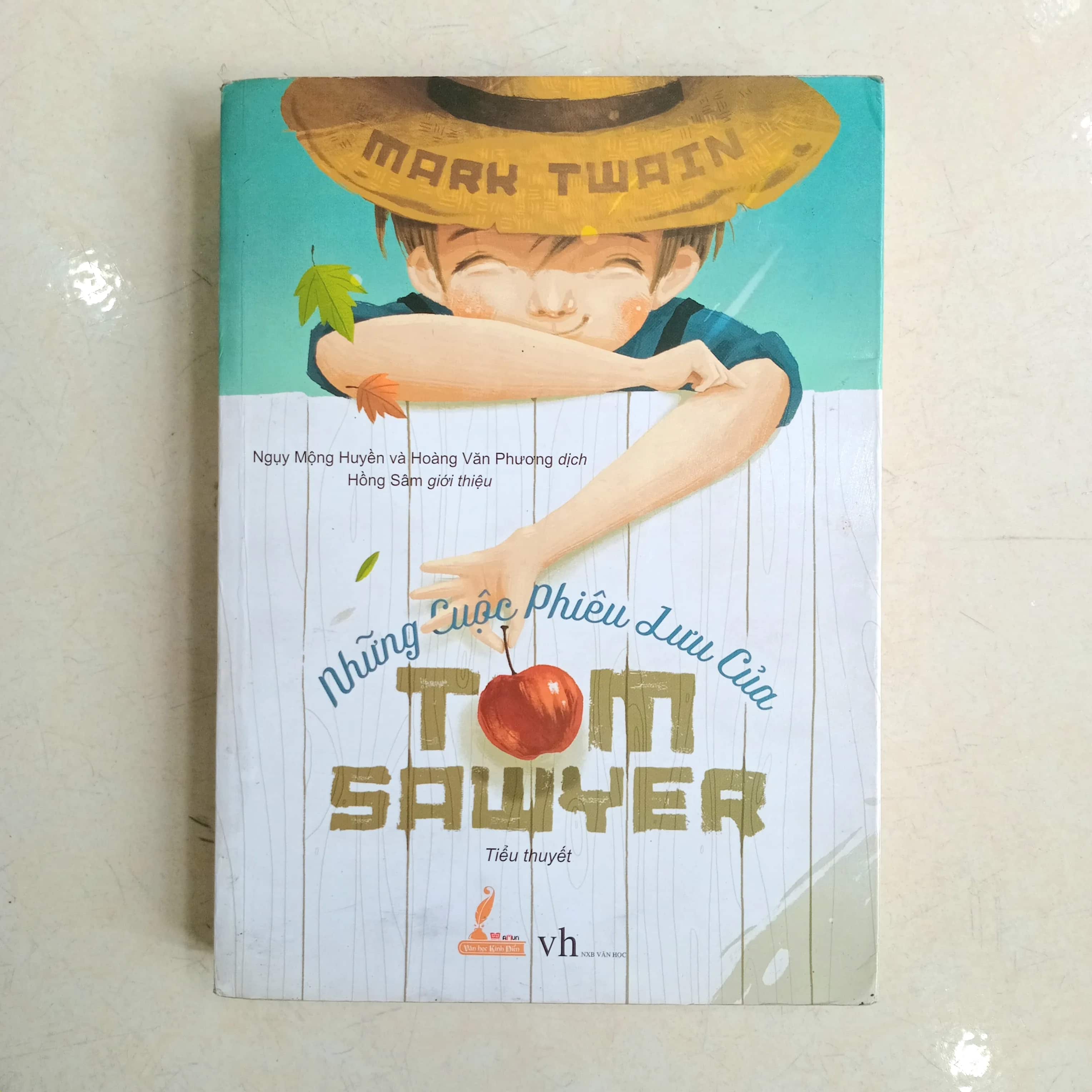 Những cuộc phiêu lưu của Tom Sawyer 