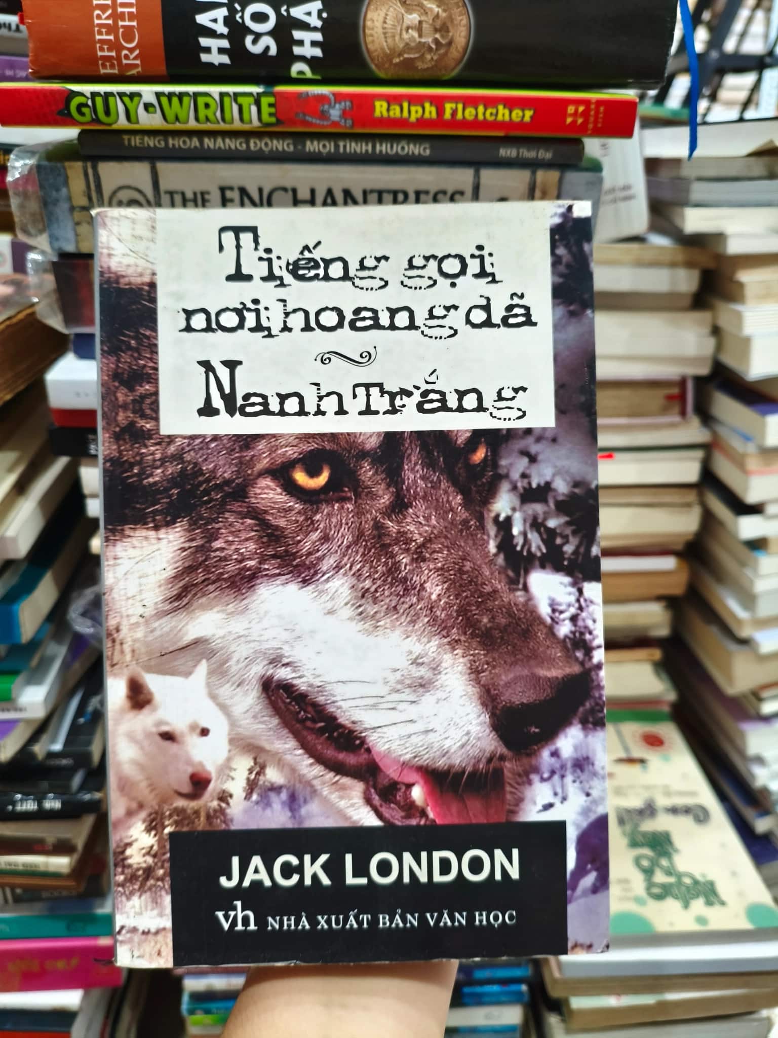 Tiếng gọi nơi hoang dã 