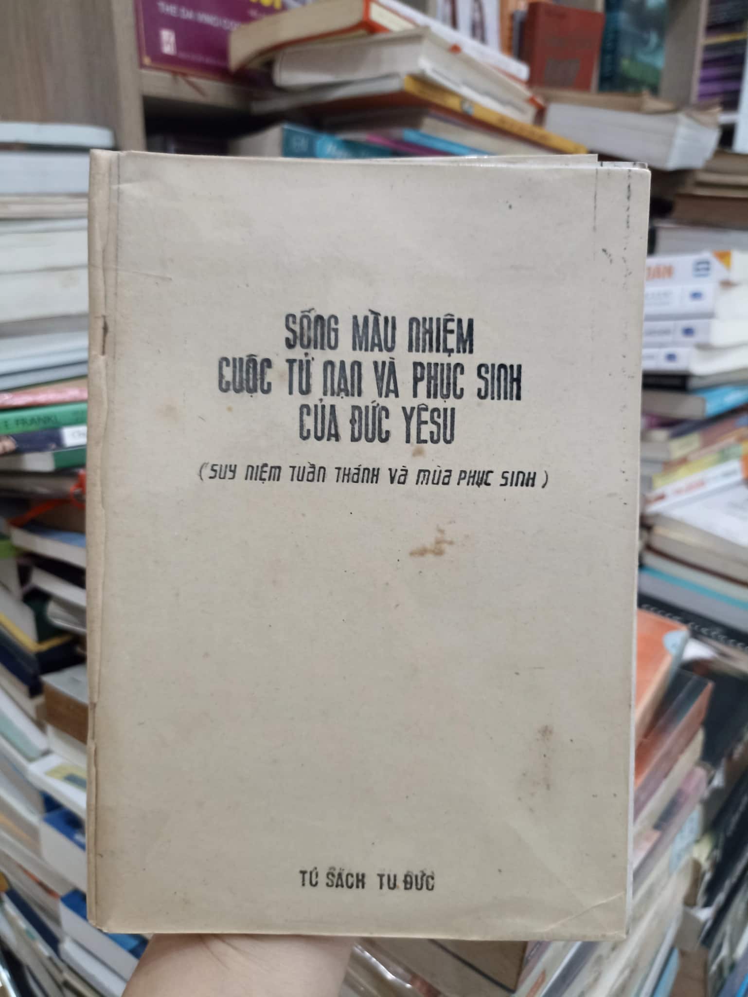 Sống Màu Nhiệm Cuộc Tử Nạn Và Phục Sinh Của Đức Yesu
