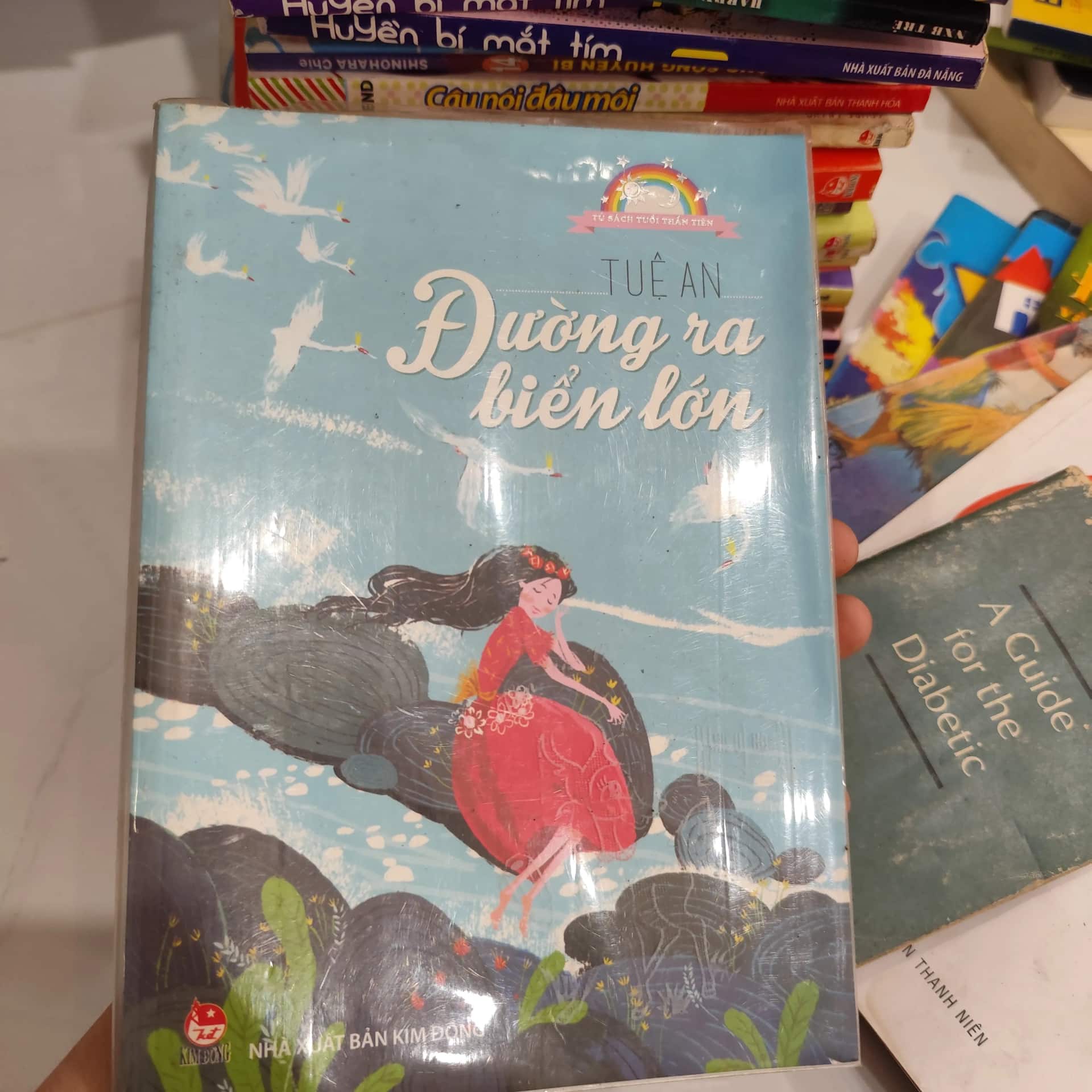 Đường ra biển lớn" của tác giả Tuệ An