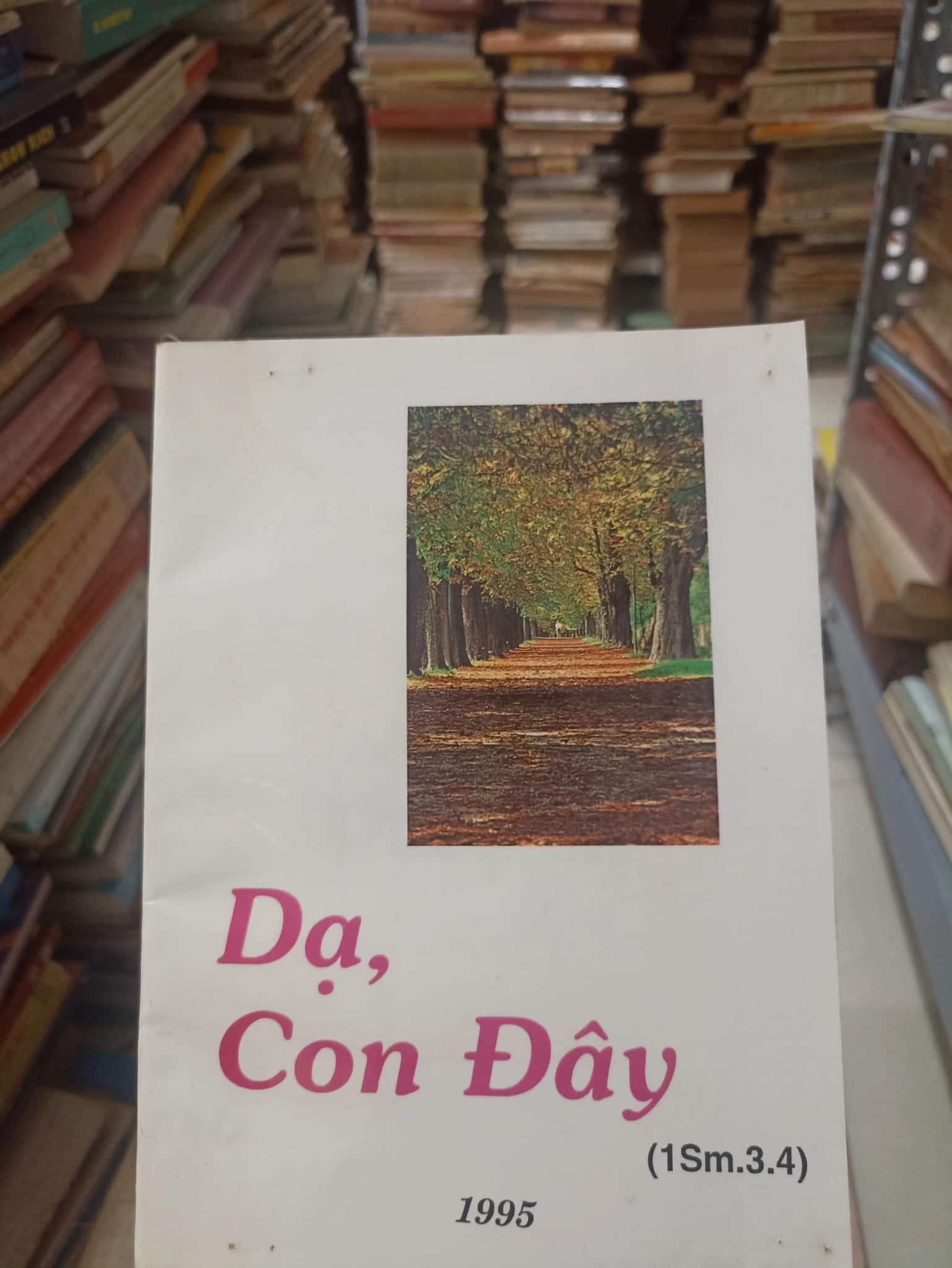 Dạ, Con Đây