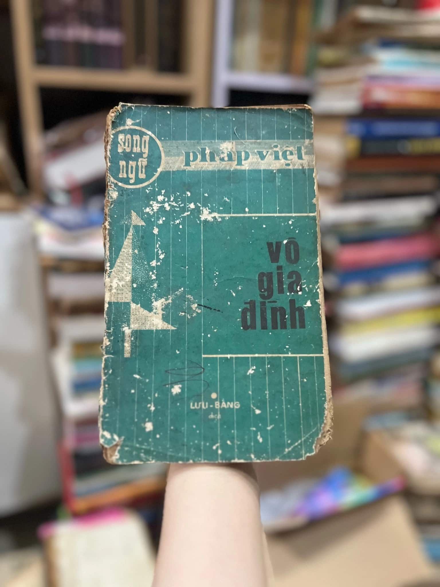 Pháp Việt - vô gia đình - 1974 của Lưu Bằng