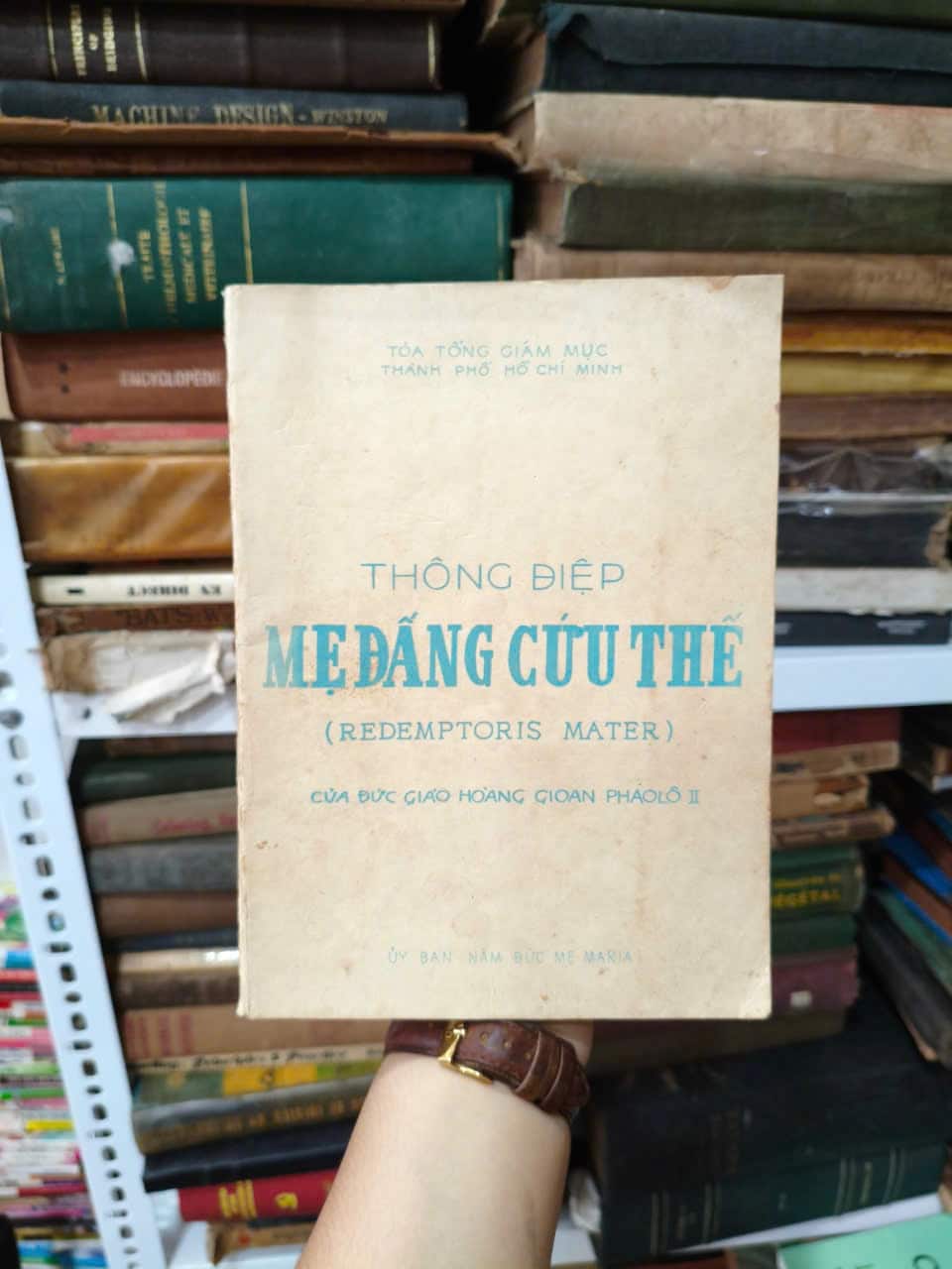 Thông Điệp Mẹ Đấng Cứu Thế