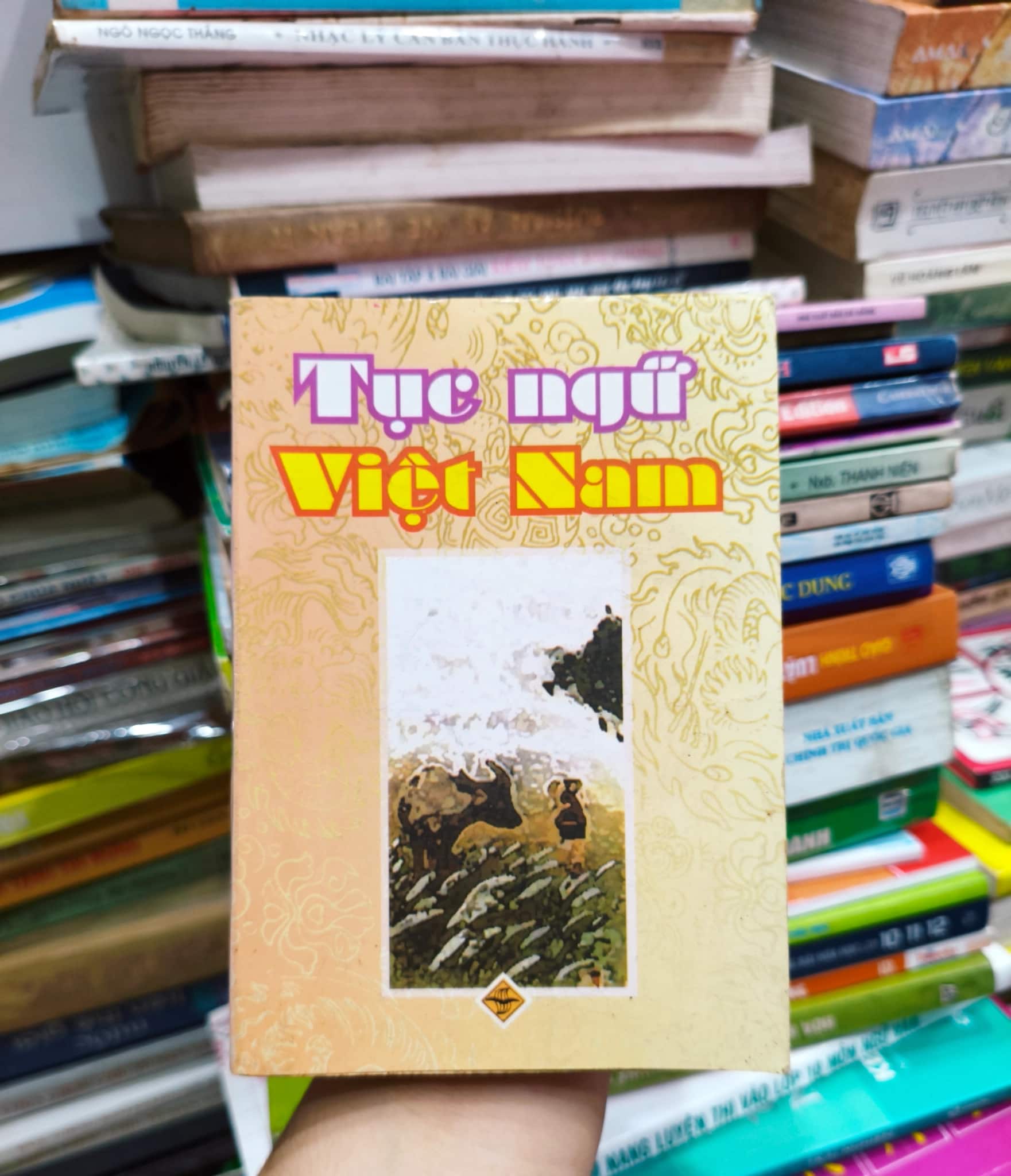 Tục ngữ Việt Nam mini