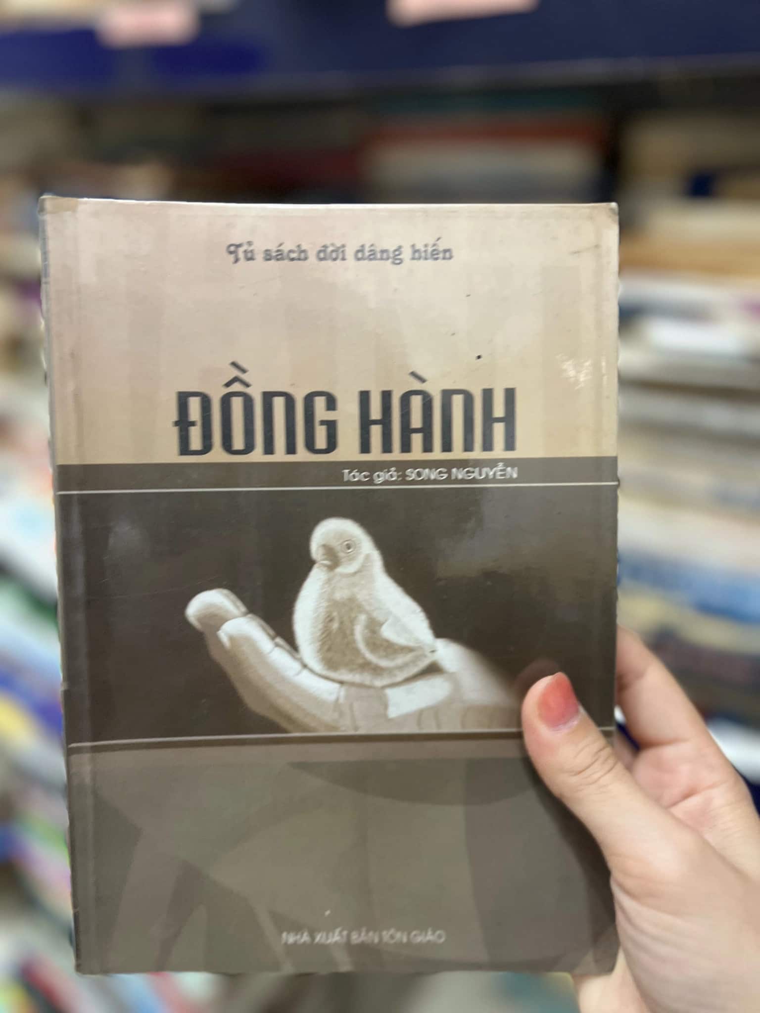 Đồng Hành - tác giả Song Nguyễn