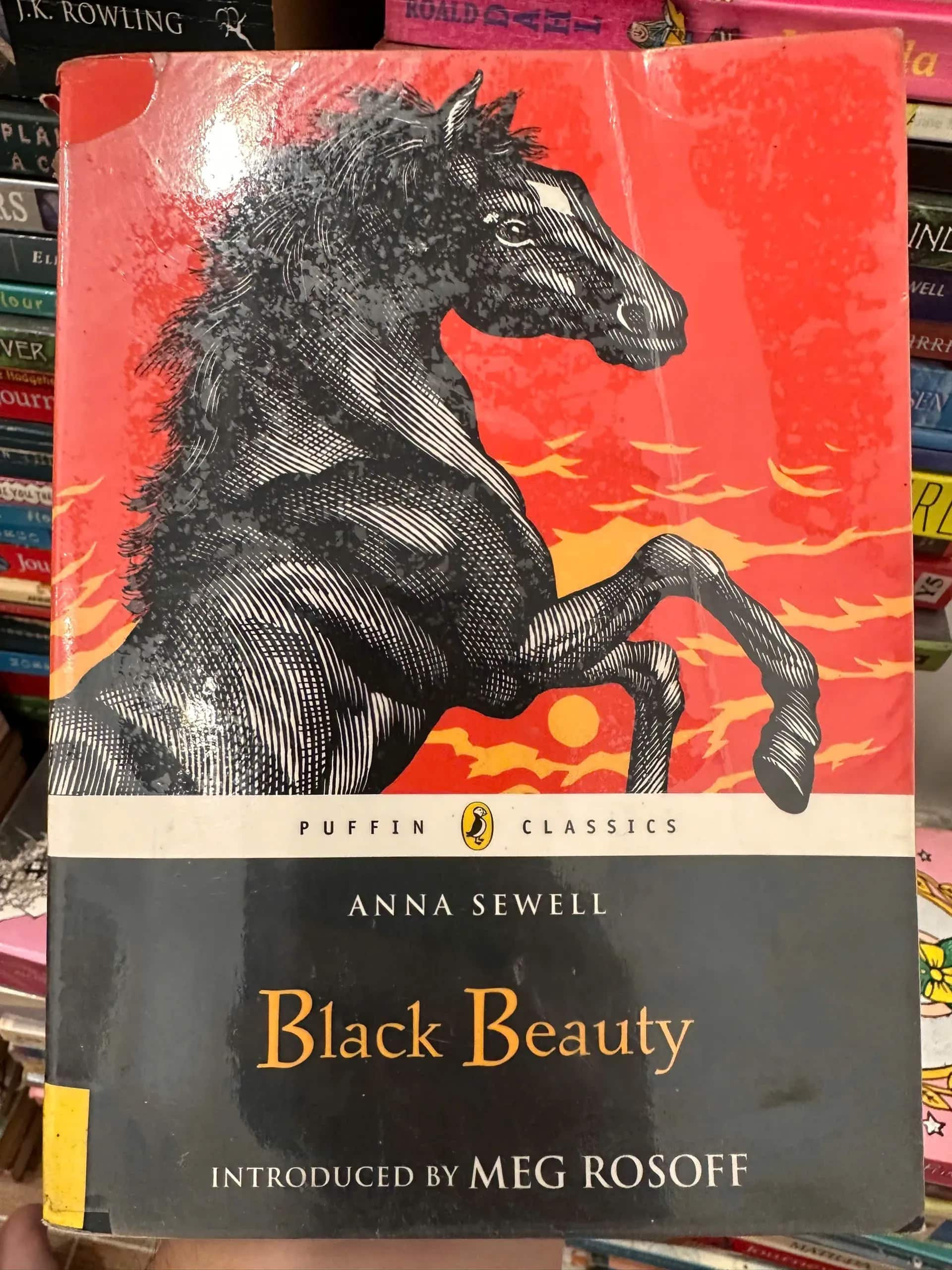 Black Beauty by Anna Sewell.