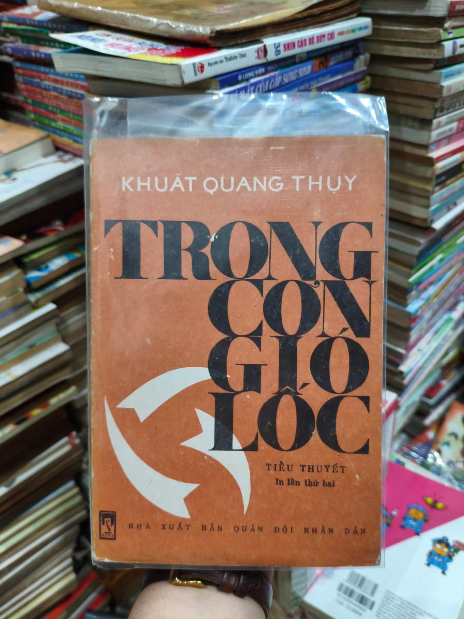 Trong cơn gió lốc