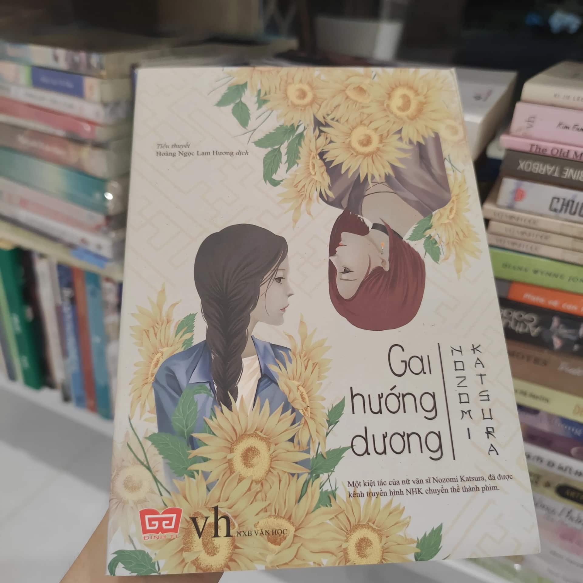 Gai Hướng Dương