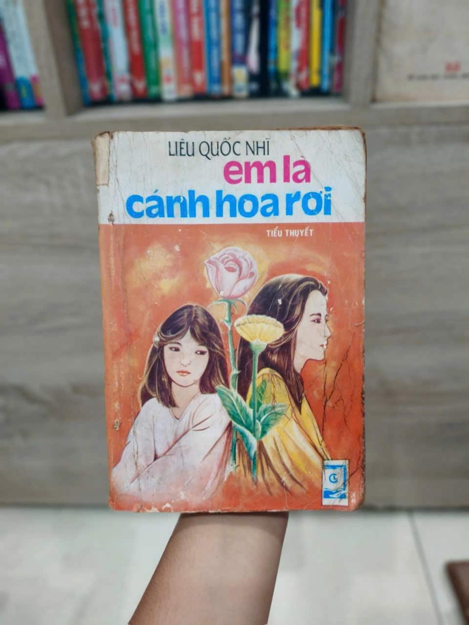 Em là Cánh Hoa Rơi