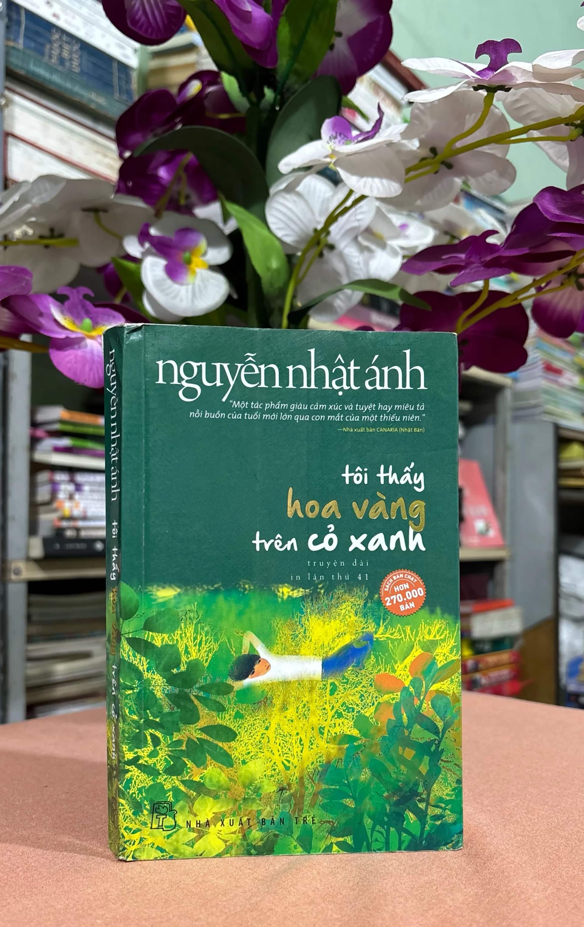 tôi thấy hoa vàng trên cỏ xanh