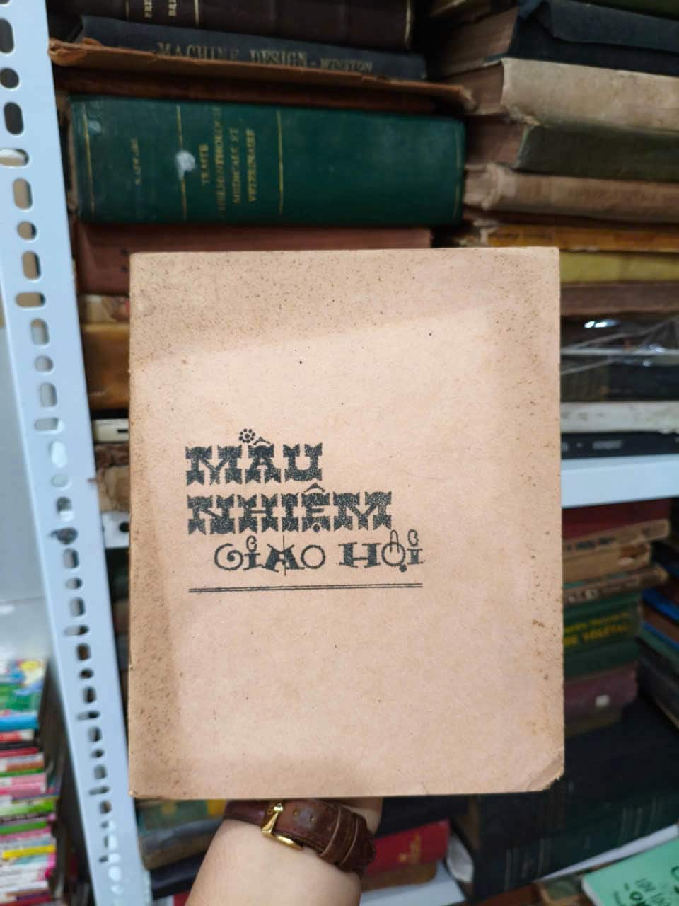Mầu Nhiệm Giáo Hội