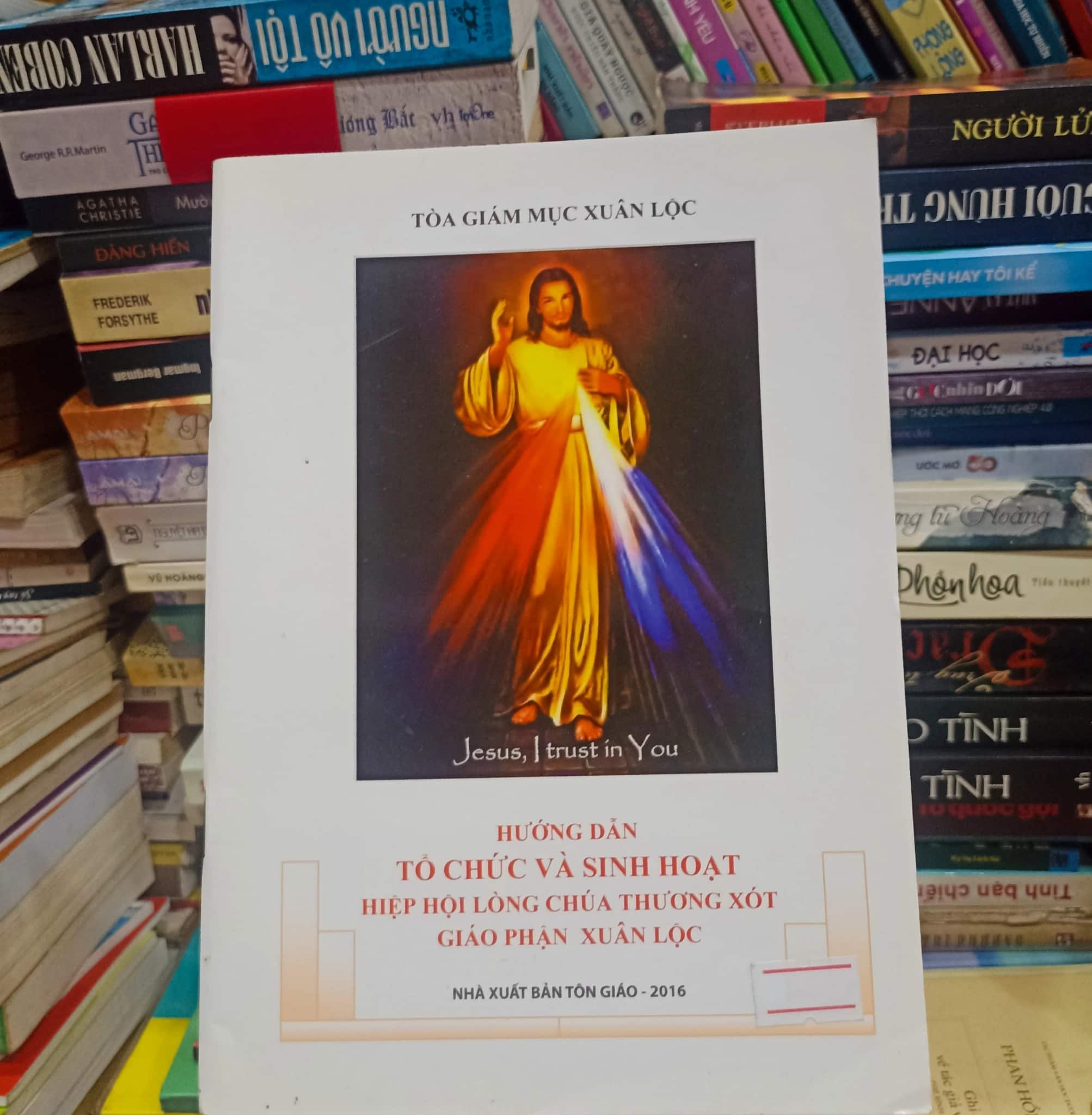 Hướng Dẫn Tổ Chức Và Sinh Hoạt Hiệp Hội Lòng Chúa Thương Xót 