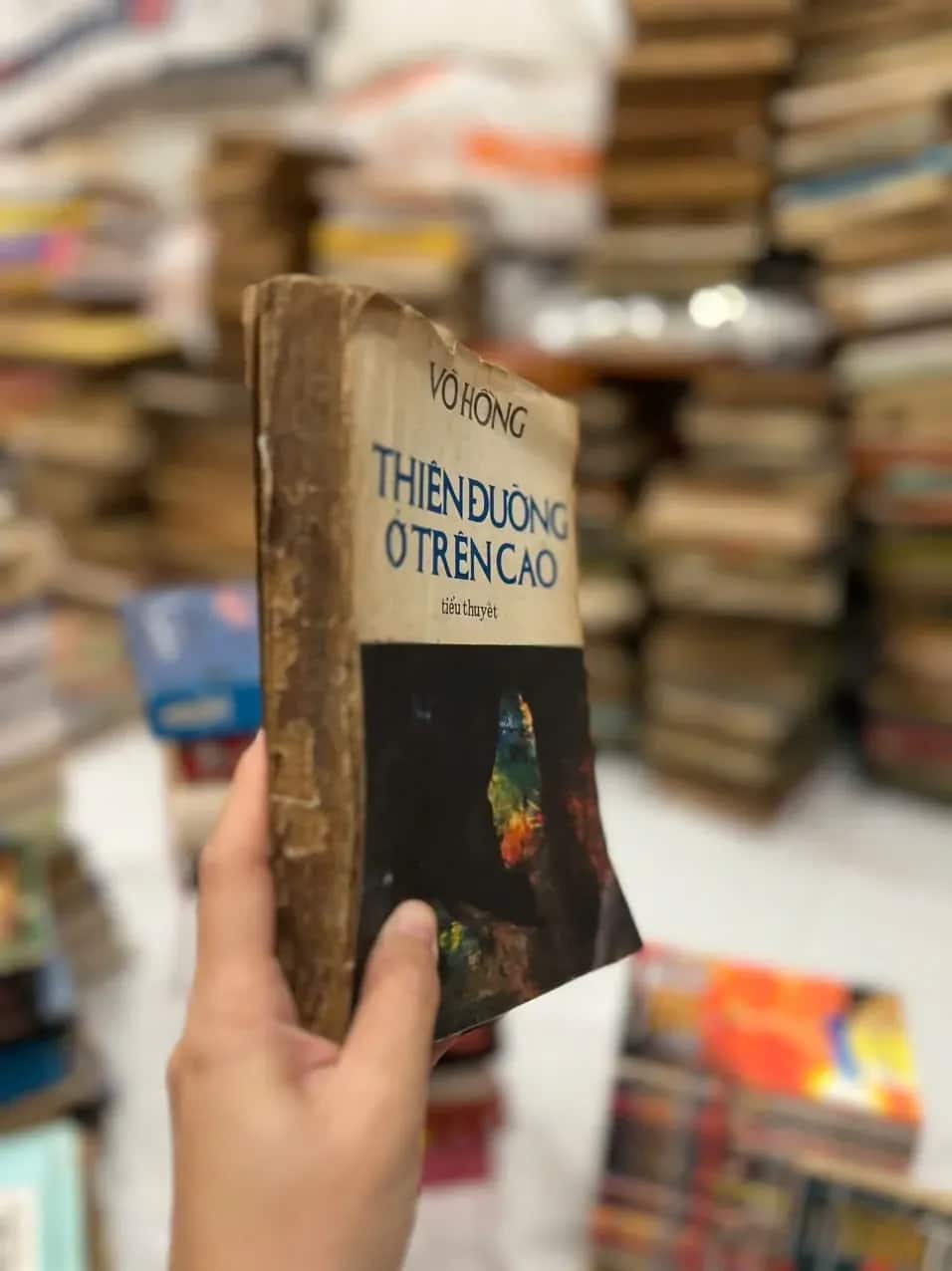 "Thiên đường ở trên cao" - Nhà văn Võ Hồng  ⭐