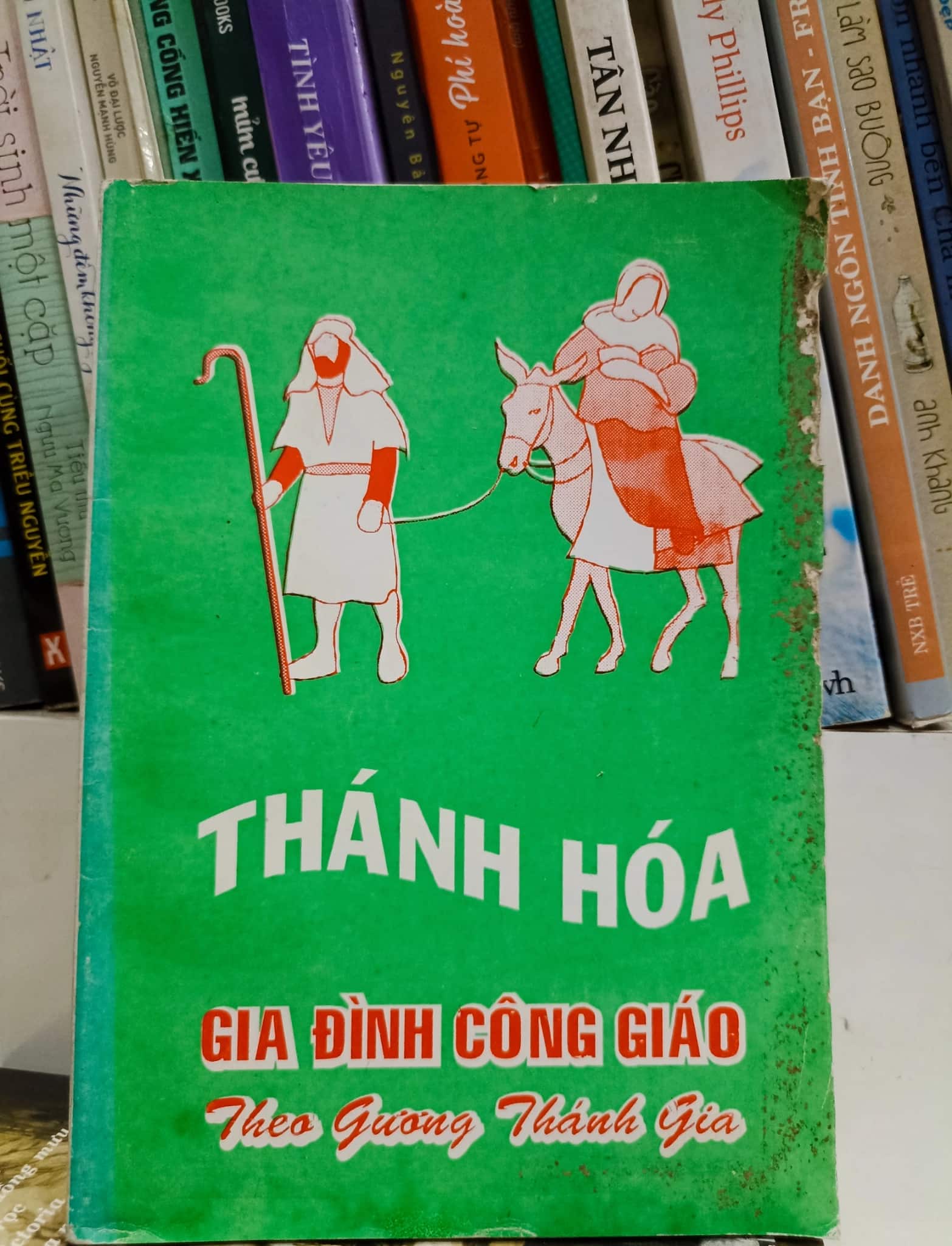 Thánh hóa gia đình công giáo theo gương thánh gia
