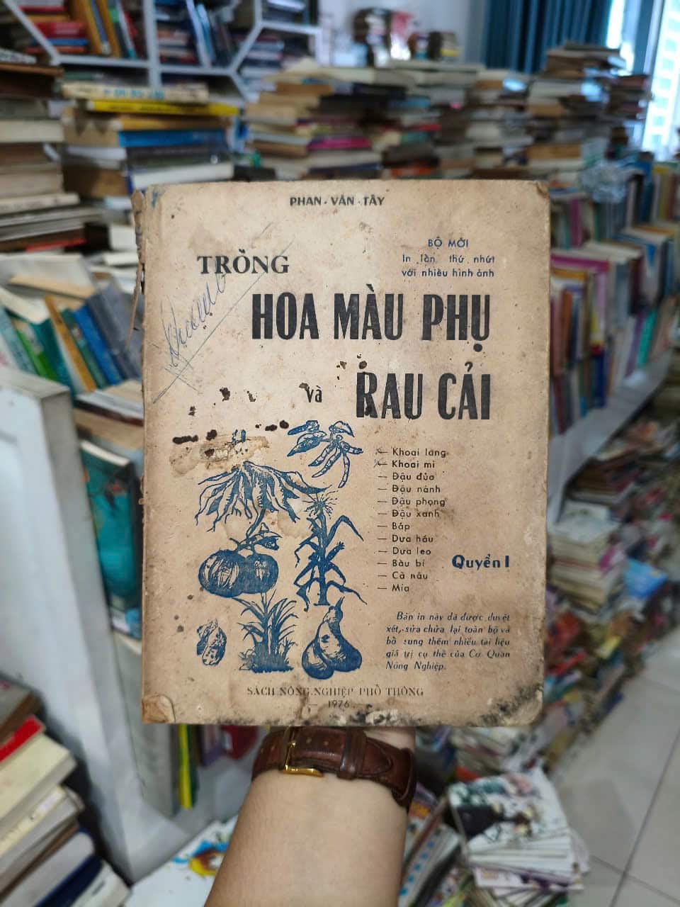 Trong Hoa Màu Phụ Và Rau Cải 1