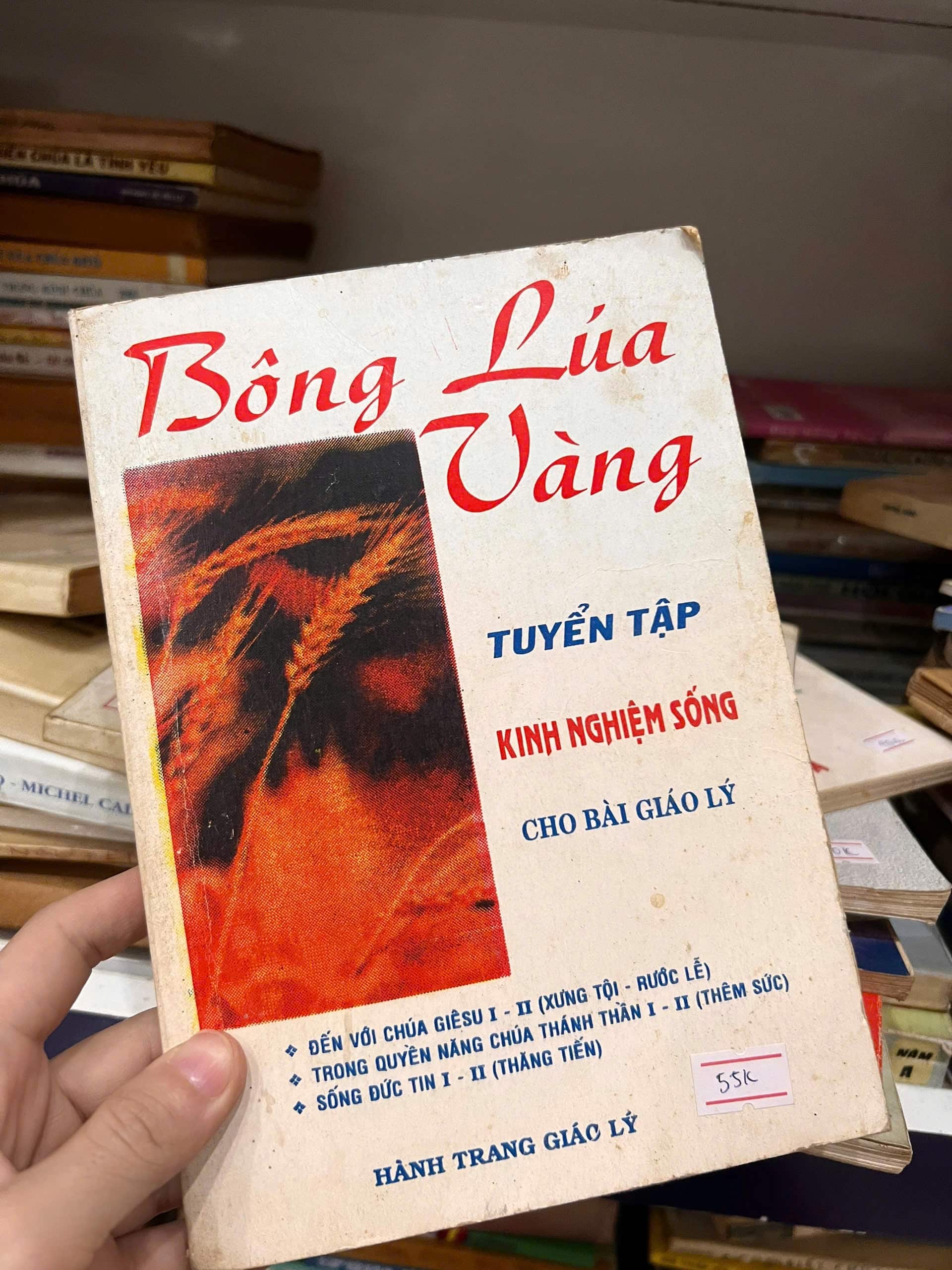 Bông lúa vàng - tuyển tập kinh nghiệm sống cho bài giáo lý