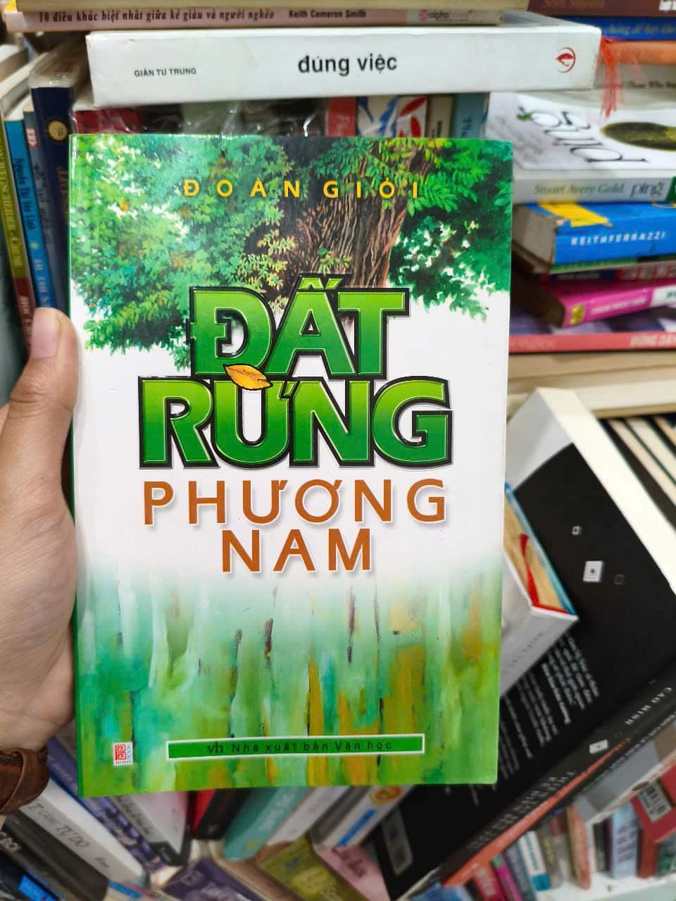 Đất rừng phương Nam