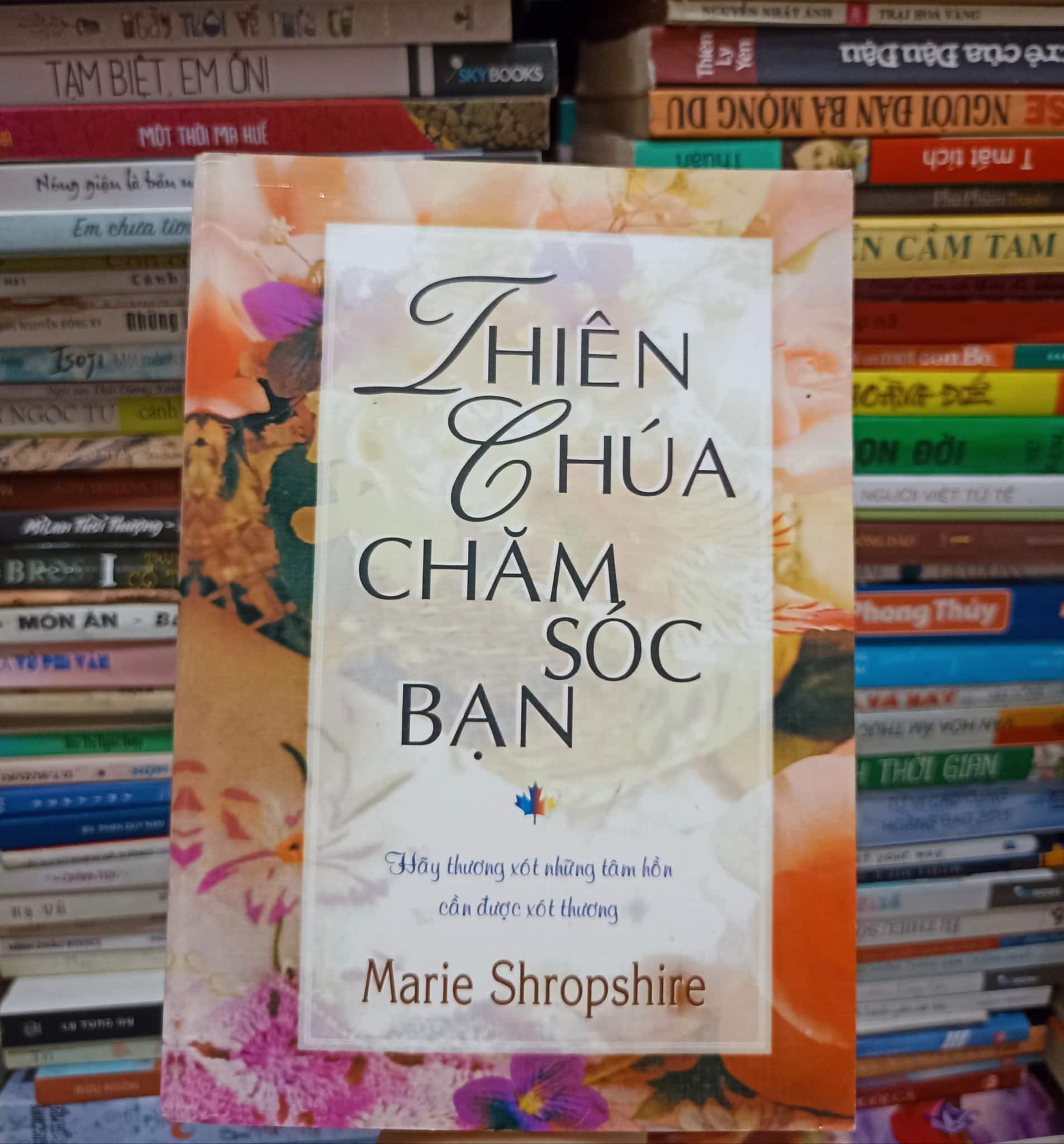 Thiên chúa chăm sóc bạn
