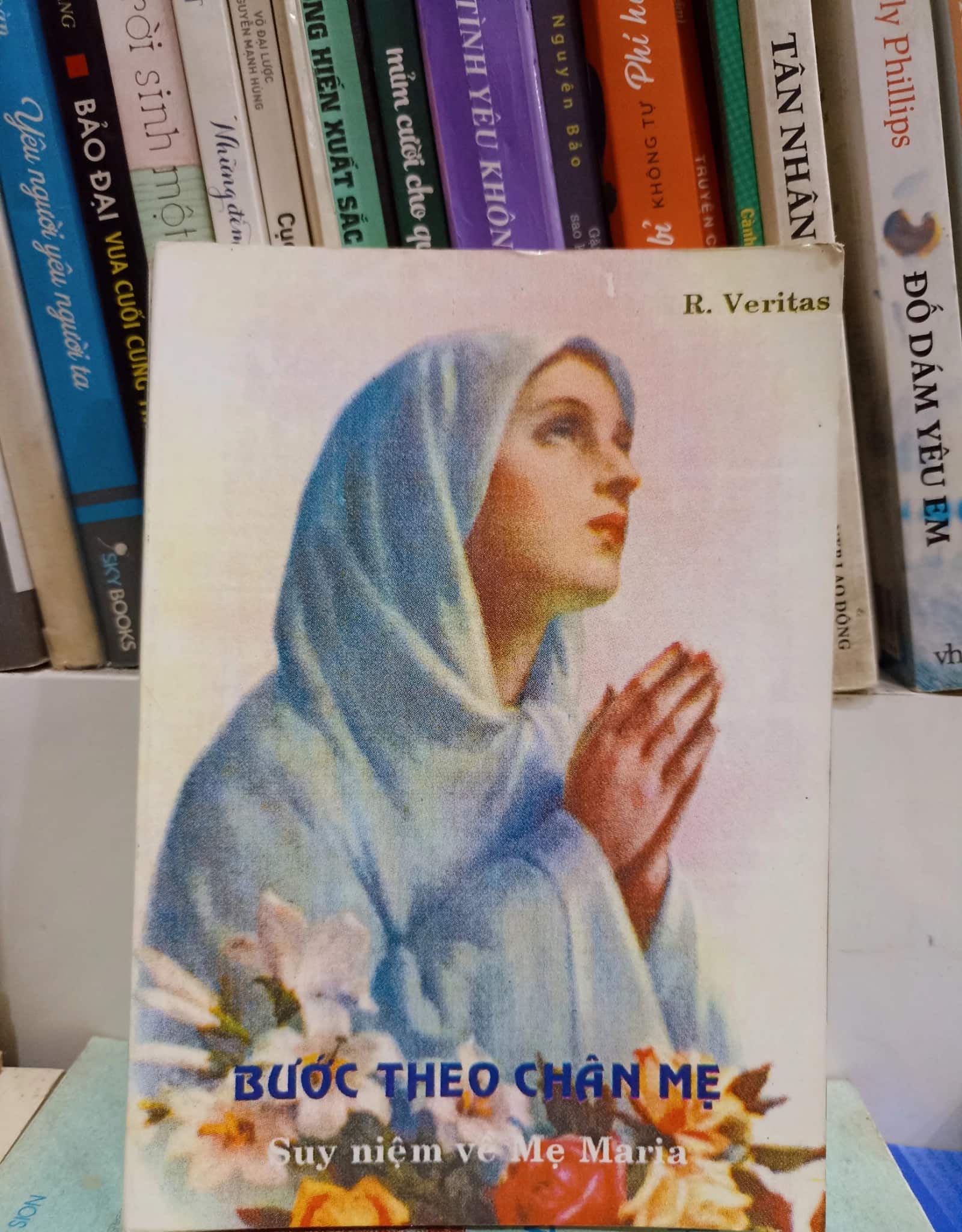 Bước theo chân mẹ 