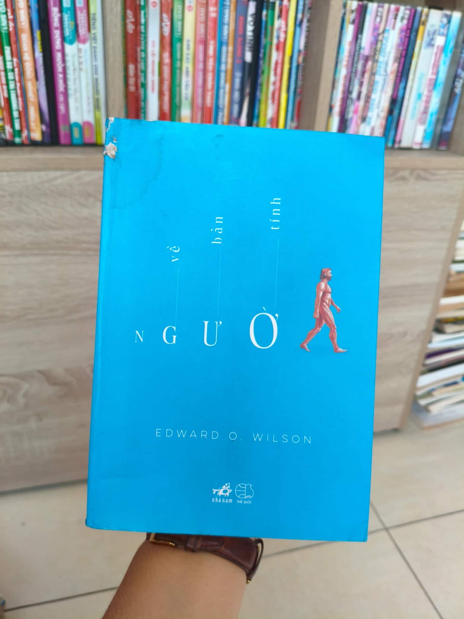 Về bản tính người 