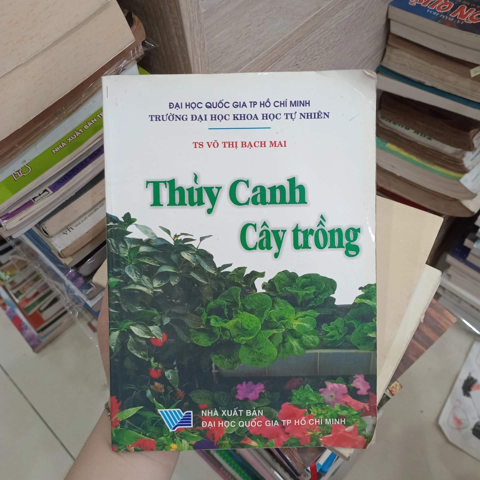 Thủy Canh Cây Trồng