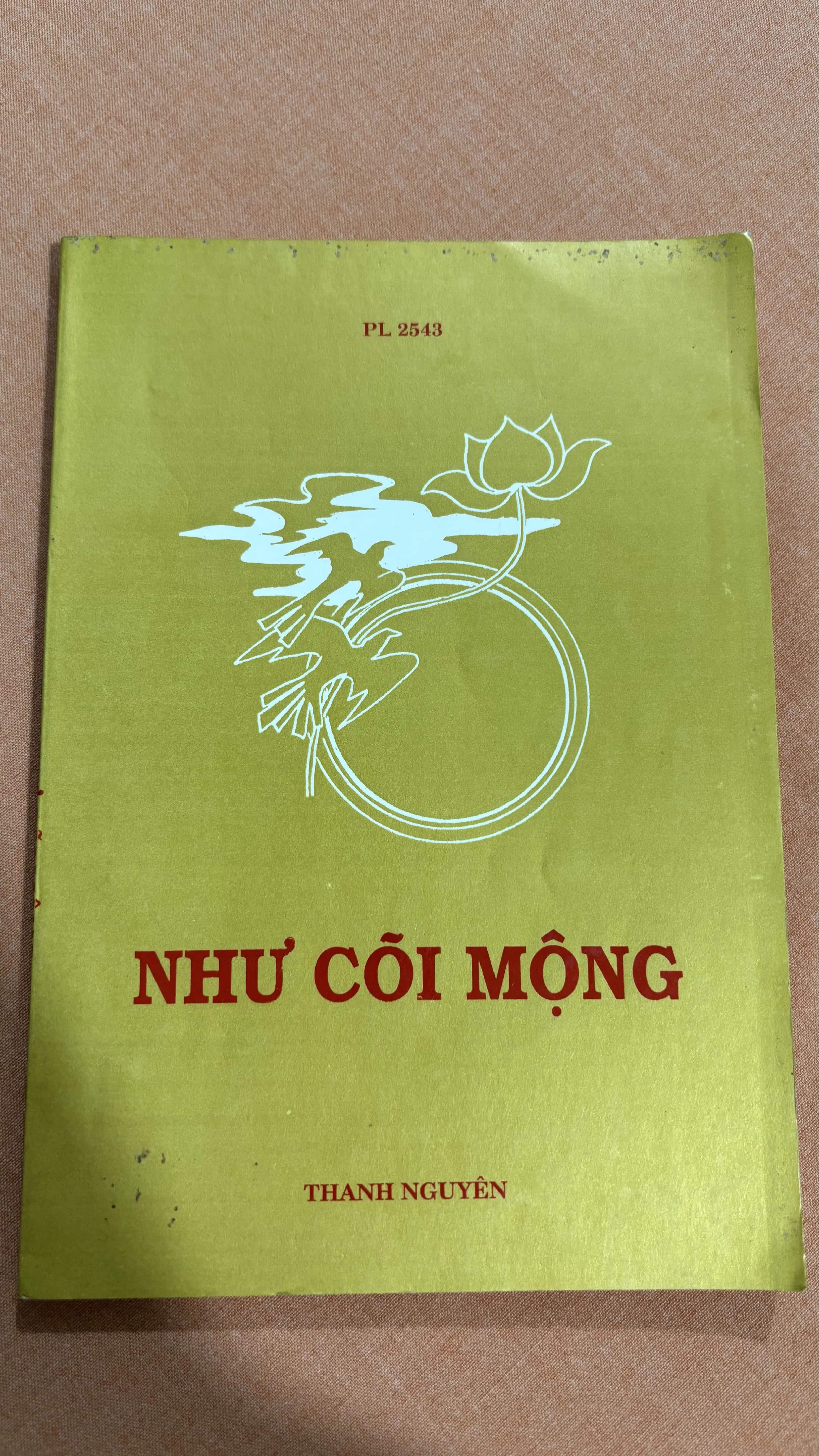 Như cõi mộng 