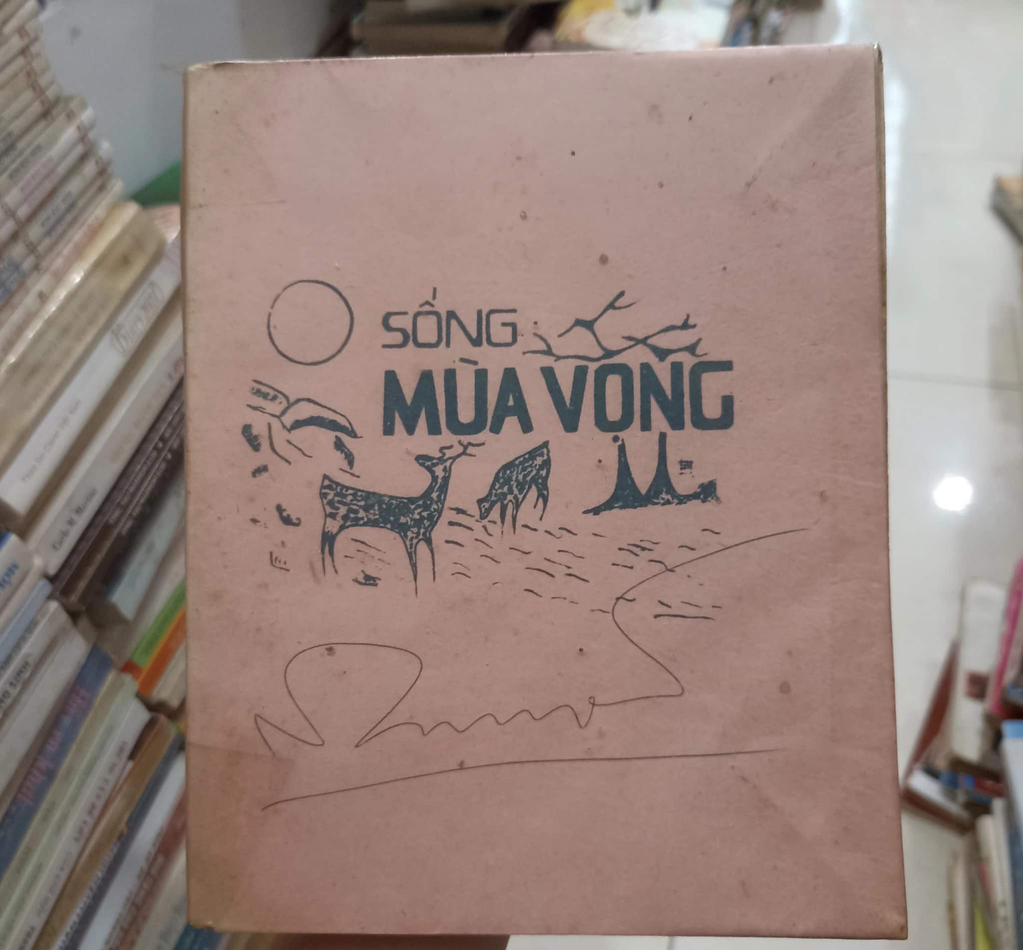 Sống mùa vọng 