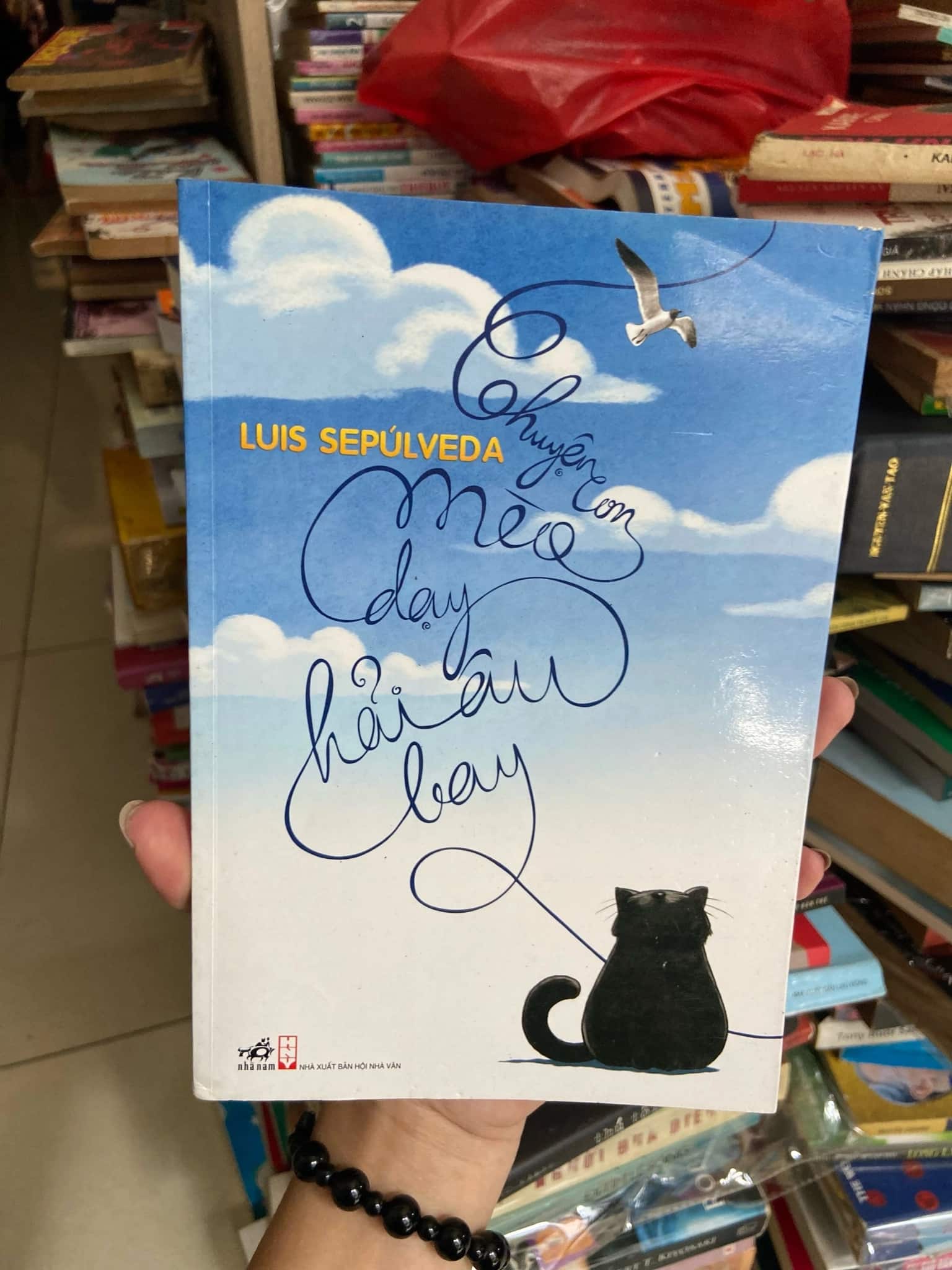 Chuyện con mèo dạy hải âu bay ️