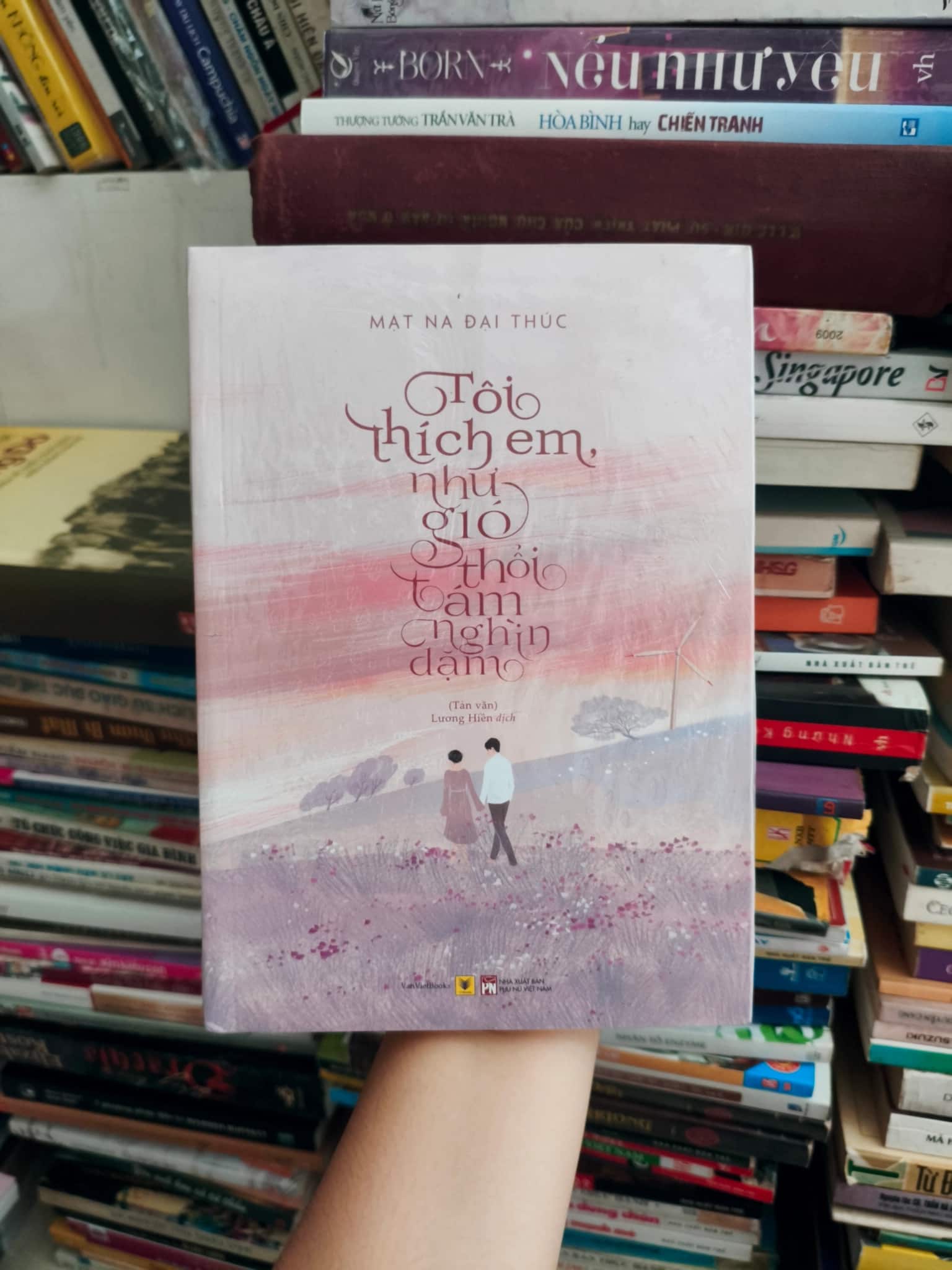 Tôi thích em như gió thổi tám nghìn dặm