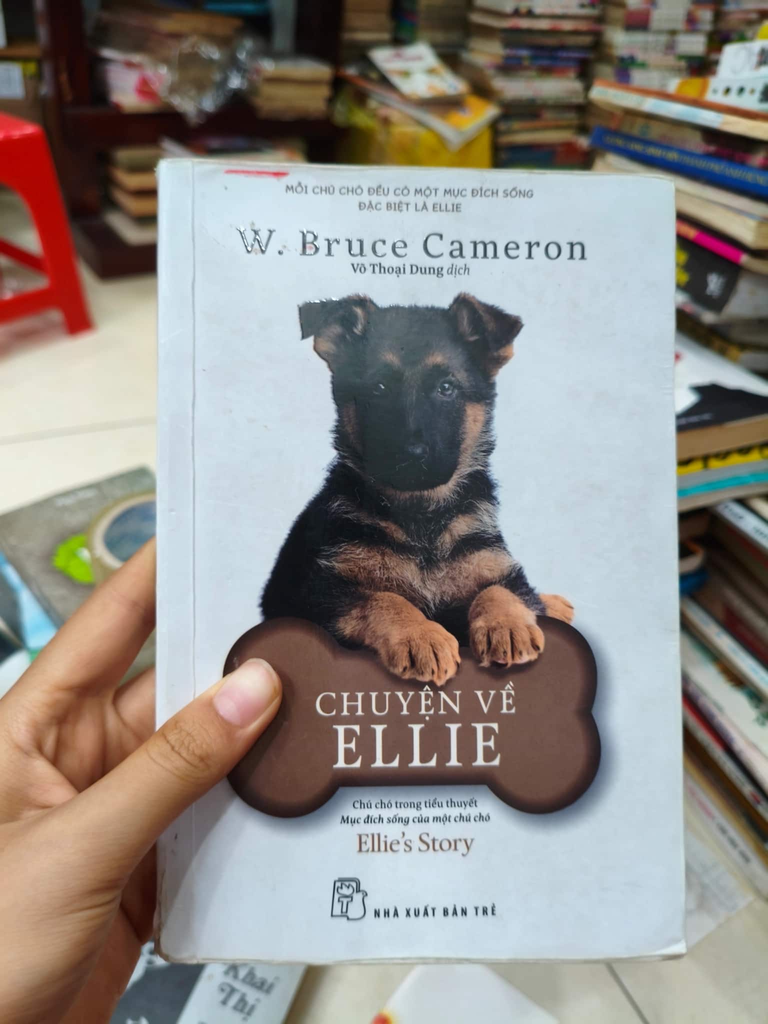 Truyện về Ellie