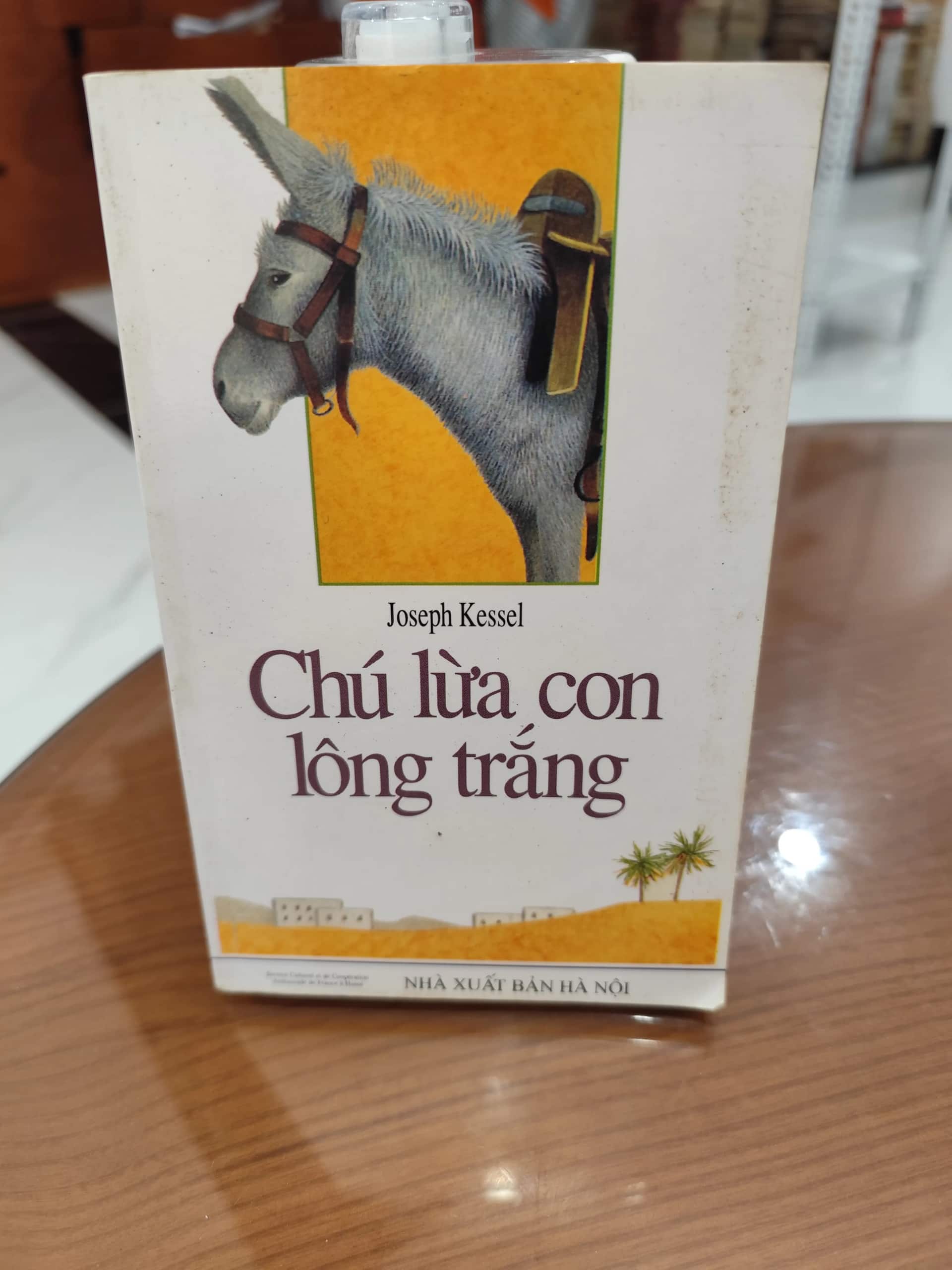 Chú lừa con lông trắng
