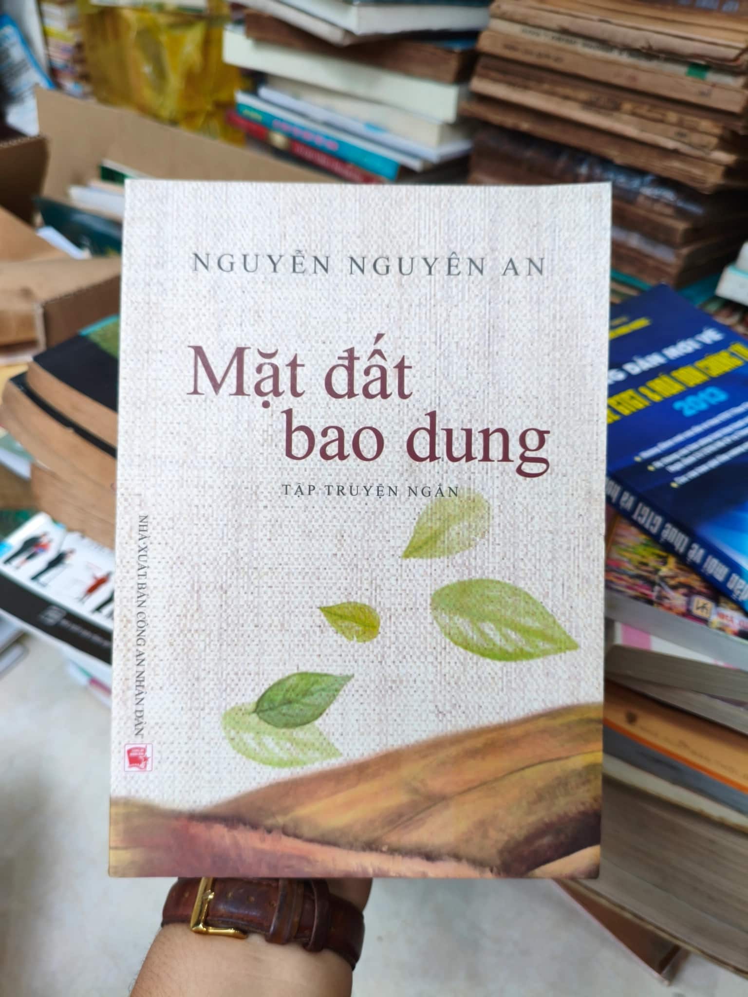 Mặt đất bao dung 