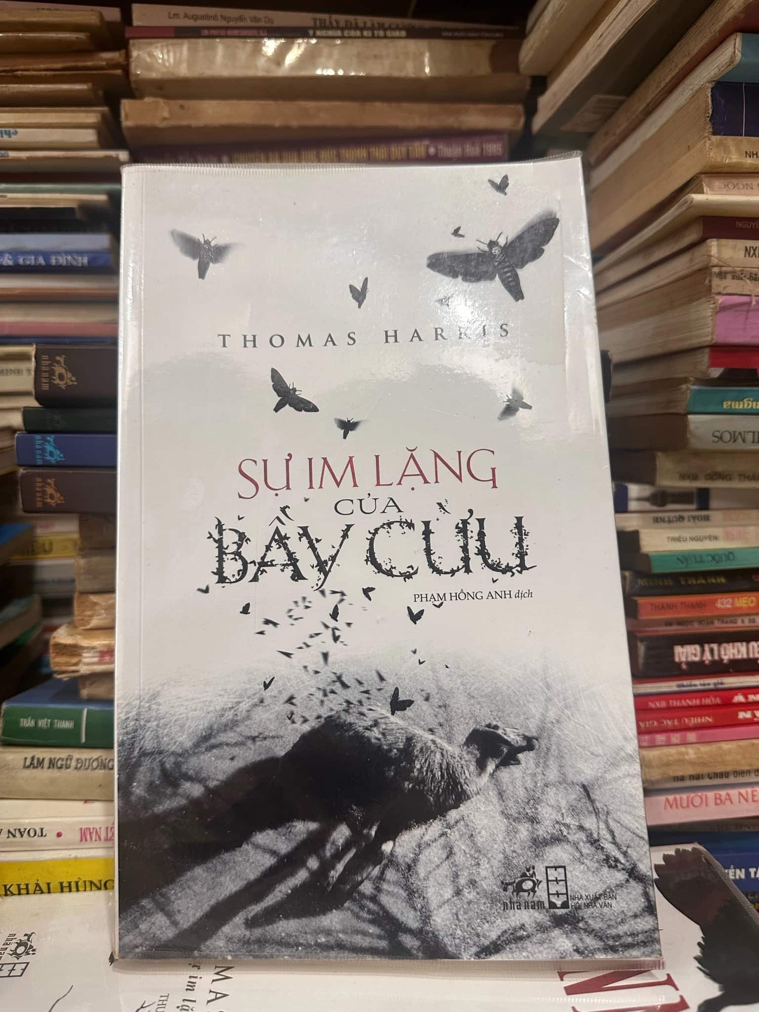 Sự im lặng của bầy cừu