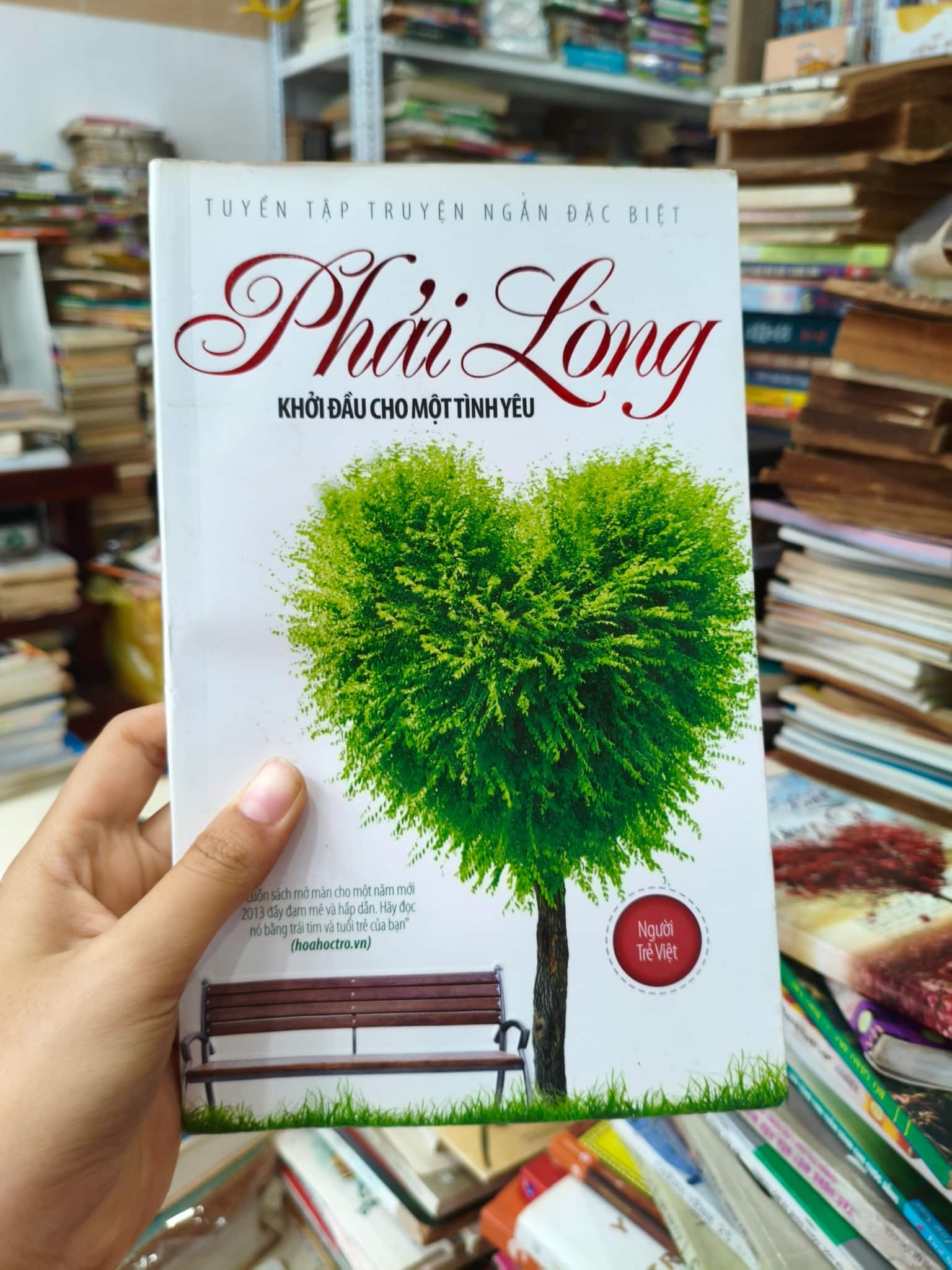 Phải lòng 