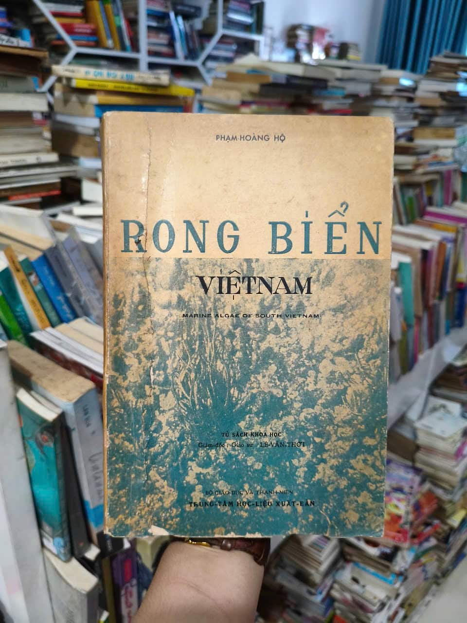 Rong Biển - Phạm Hoàng Lộ