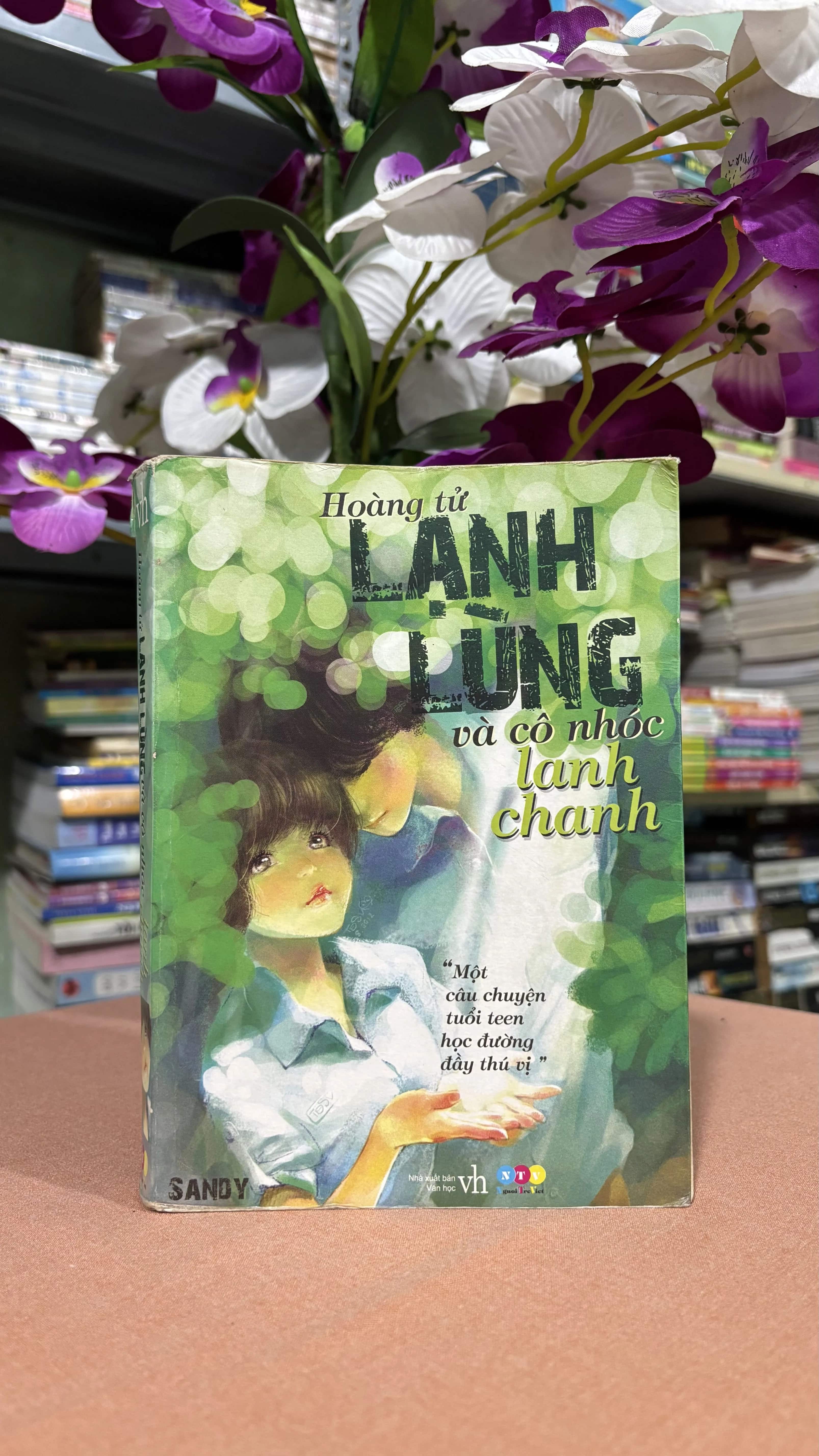 Hoàng tử lạnh lùng và cô nhóc lanh chanh 