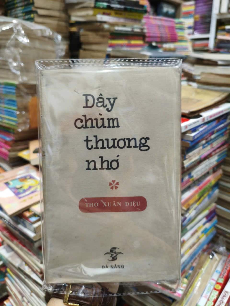 Đây Chùm Thương Nhớ