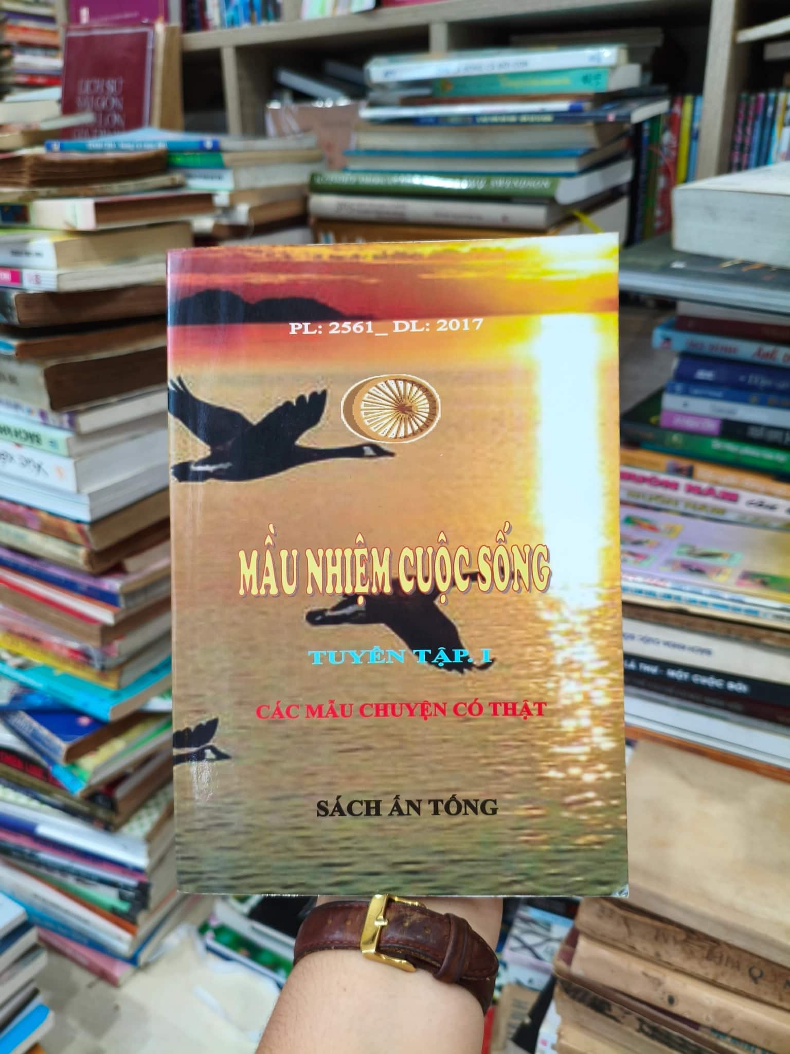 Màu nhiệm cuộc sống 