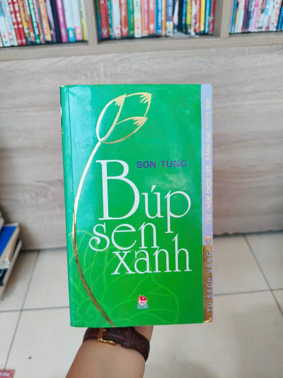 Búp sen xanh - Sơn Tùng
