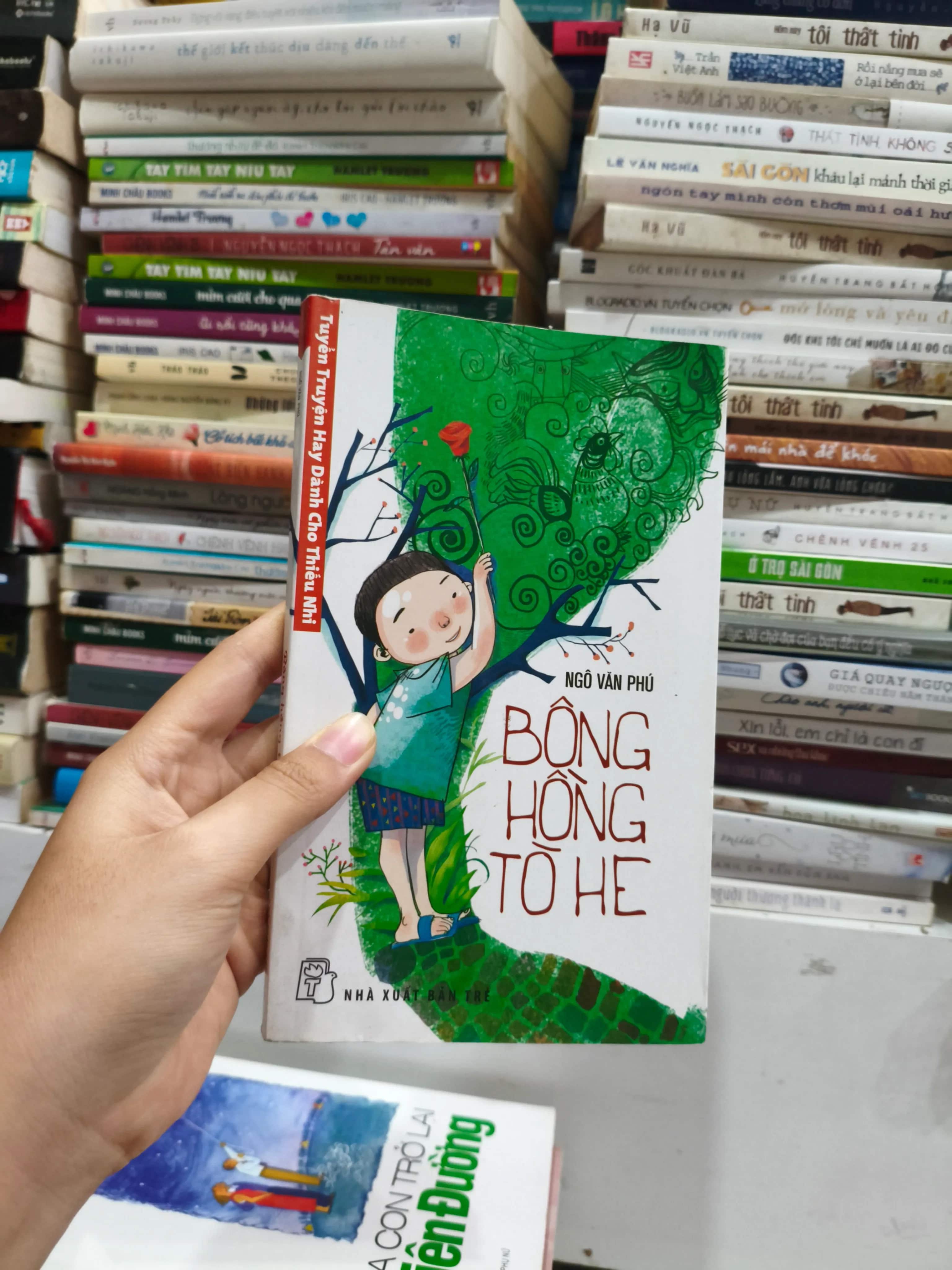 Bông Hồng Tò He 